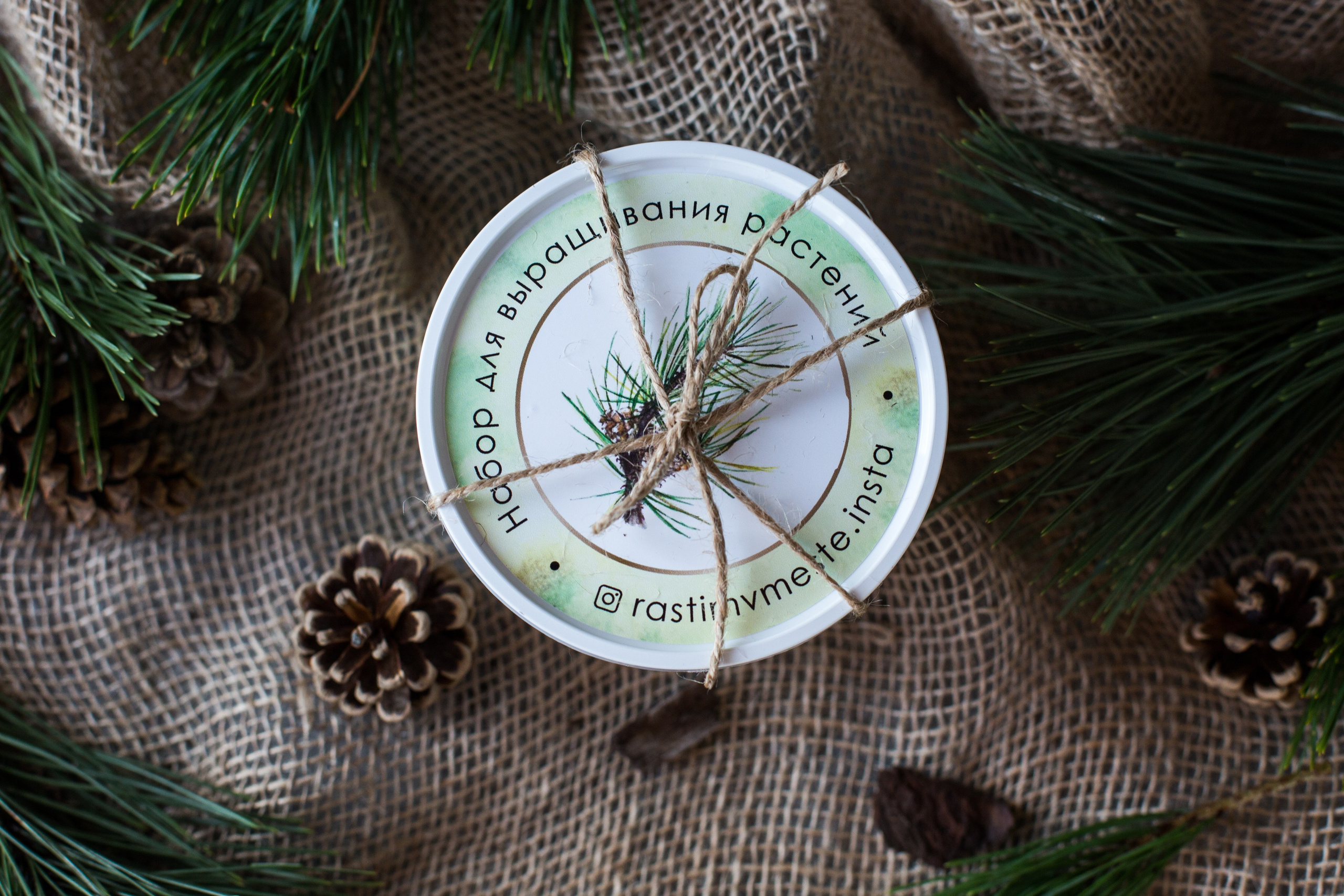 Растим вместе. Главная