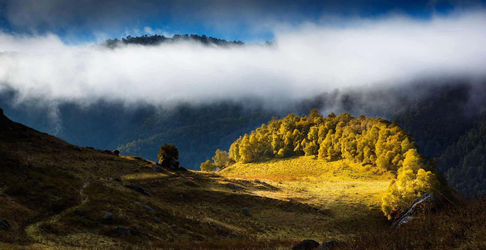 Свадебный фотограф в Геленджике