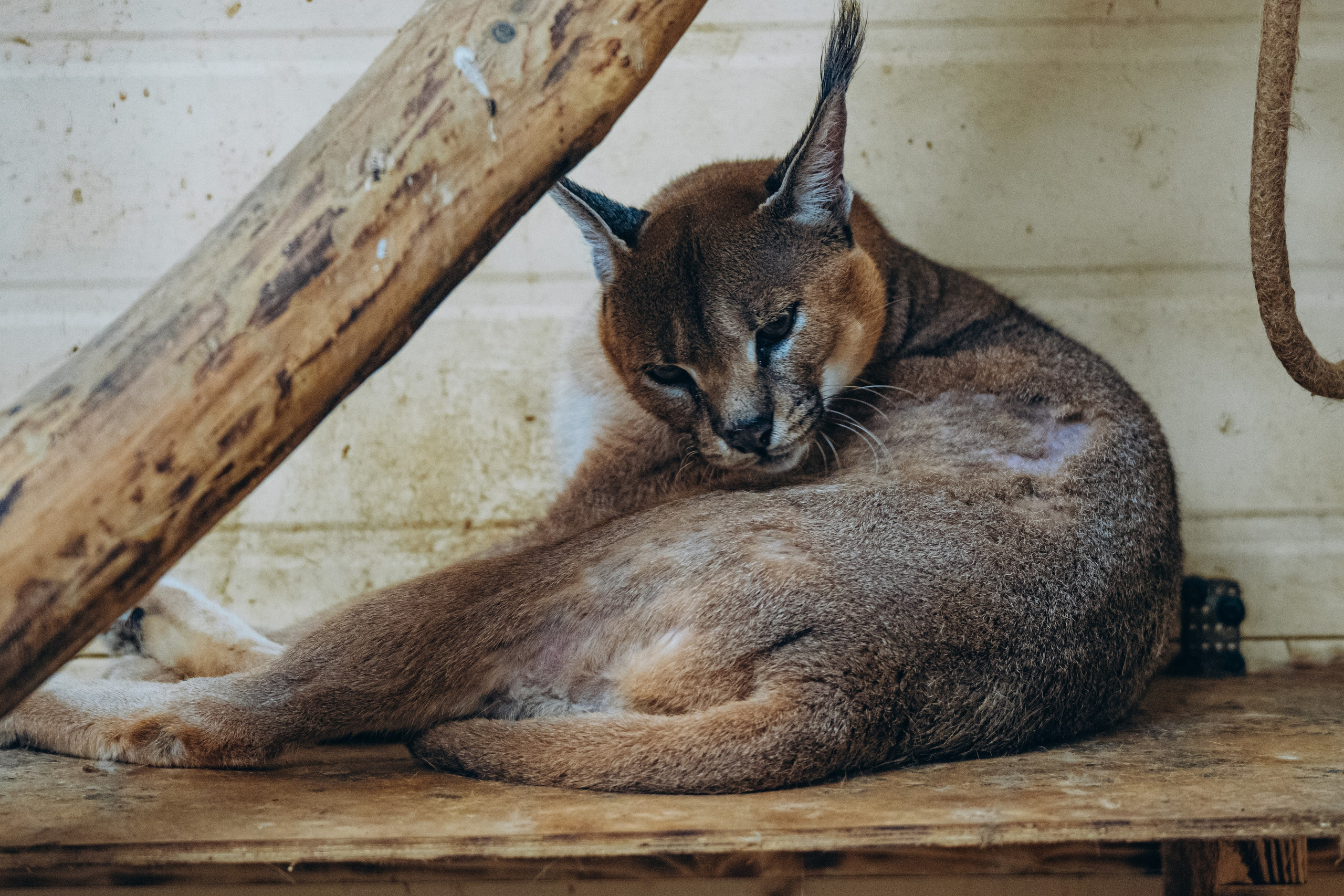 СЕВЕР. Event фотограф Степанова Александра