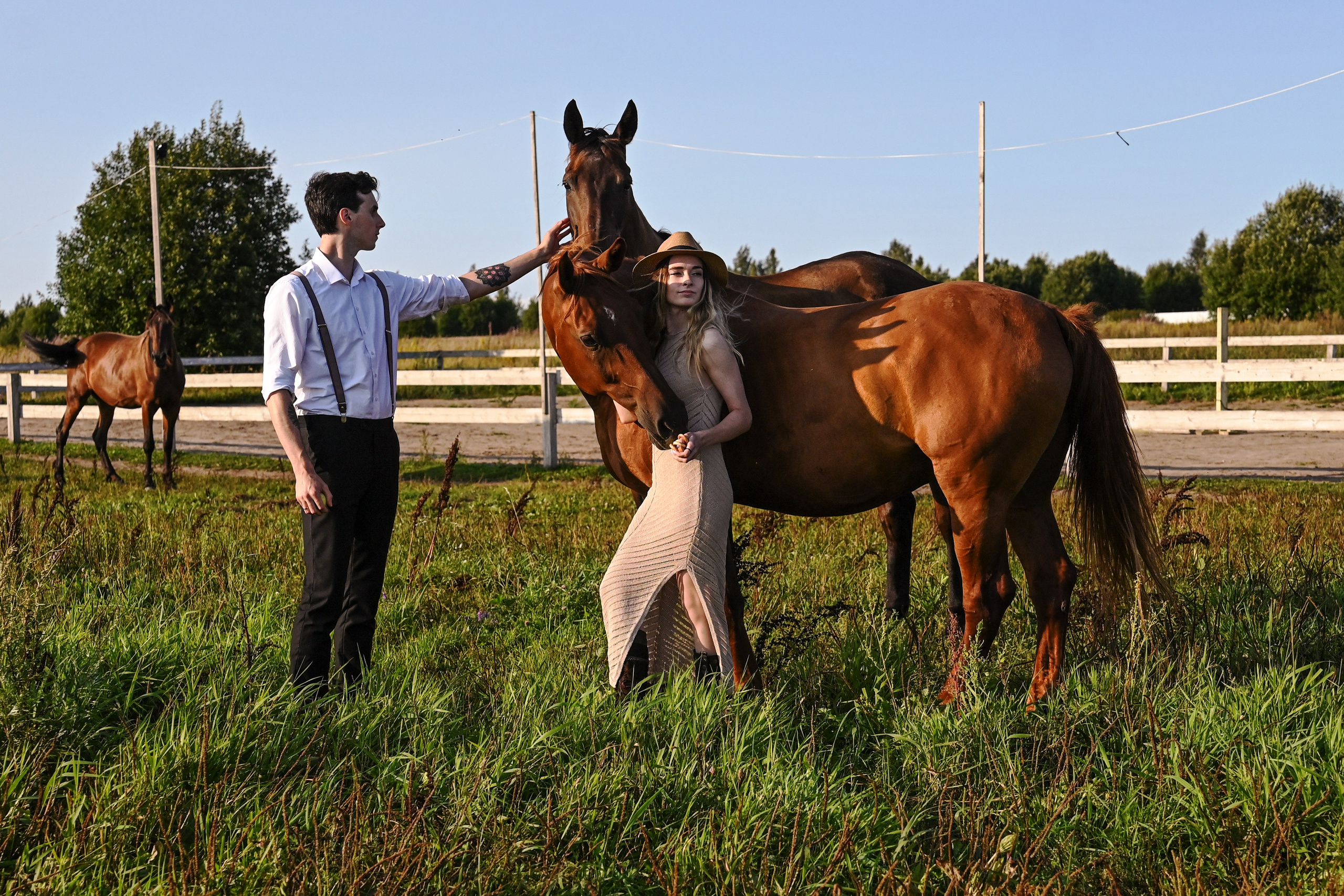 Конные портреты. Фотограф Зноева Ирина (Gvenya)