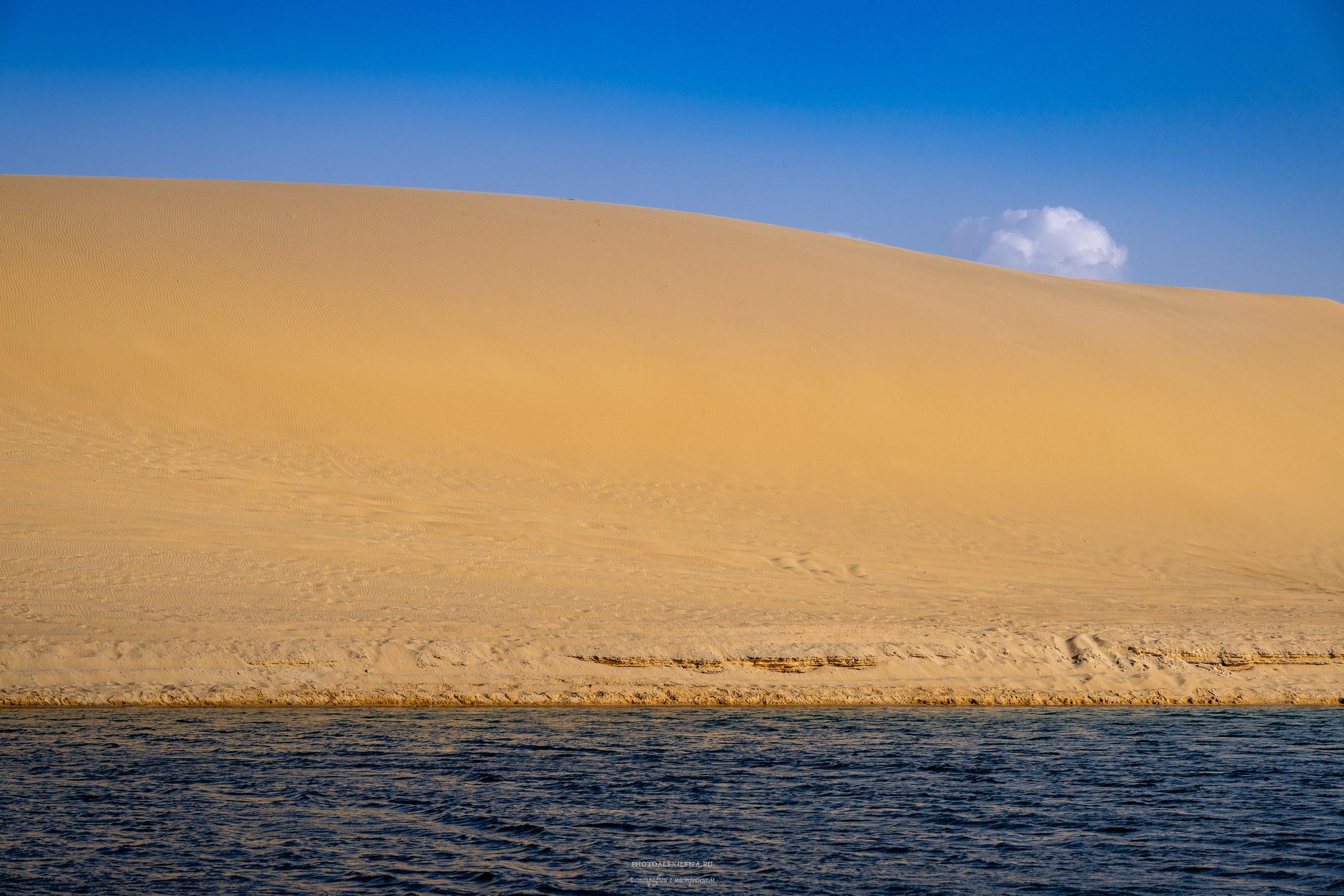 Снова в пустыню, за скелетами…. Авторские стильные фотокартины