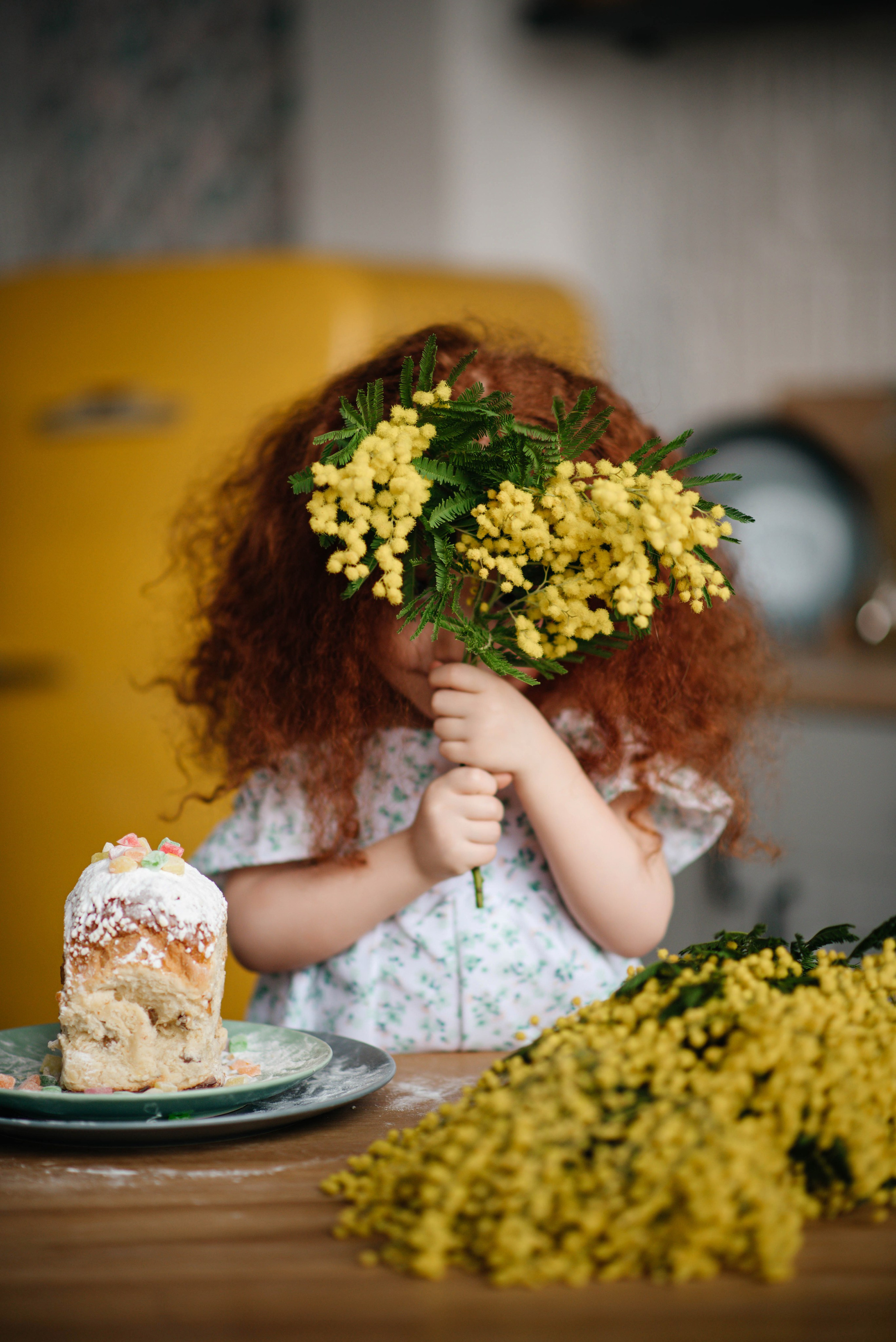 Семейные фотосъемки. Alena Nezalenova