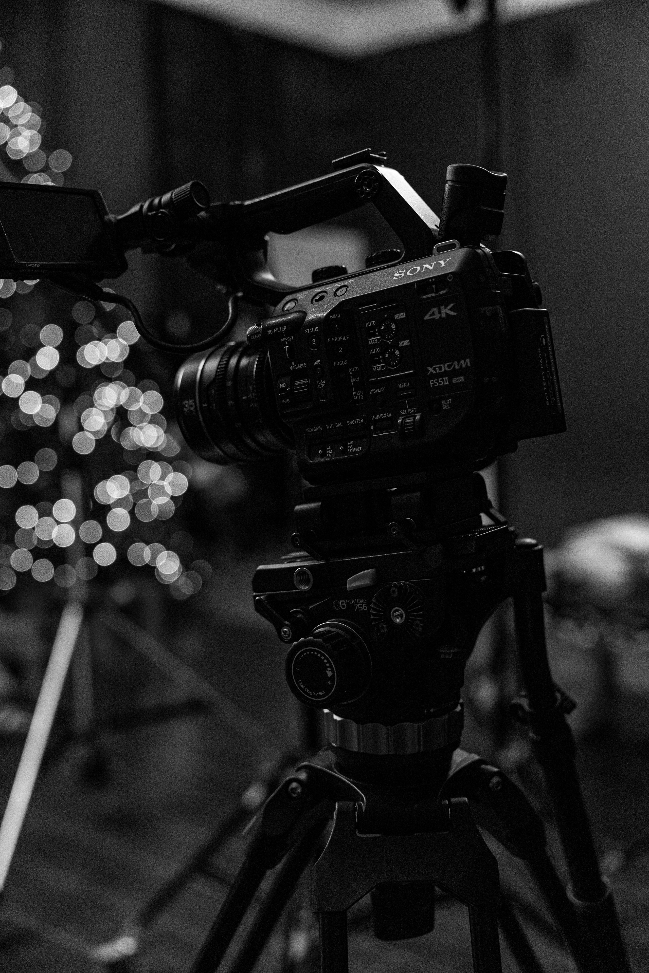 Киносъемки «Спящие красавицы». Фотограф/видеограф в Санкт-Петербурге Динара Гольдина