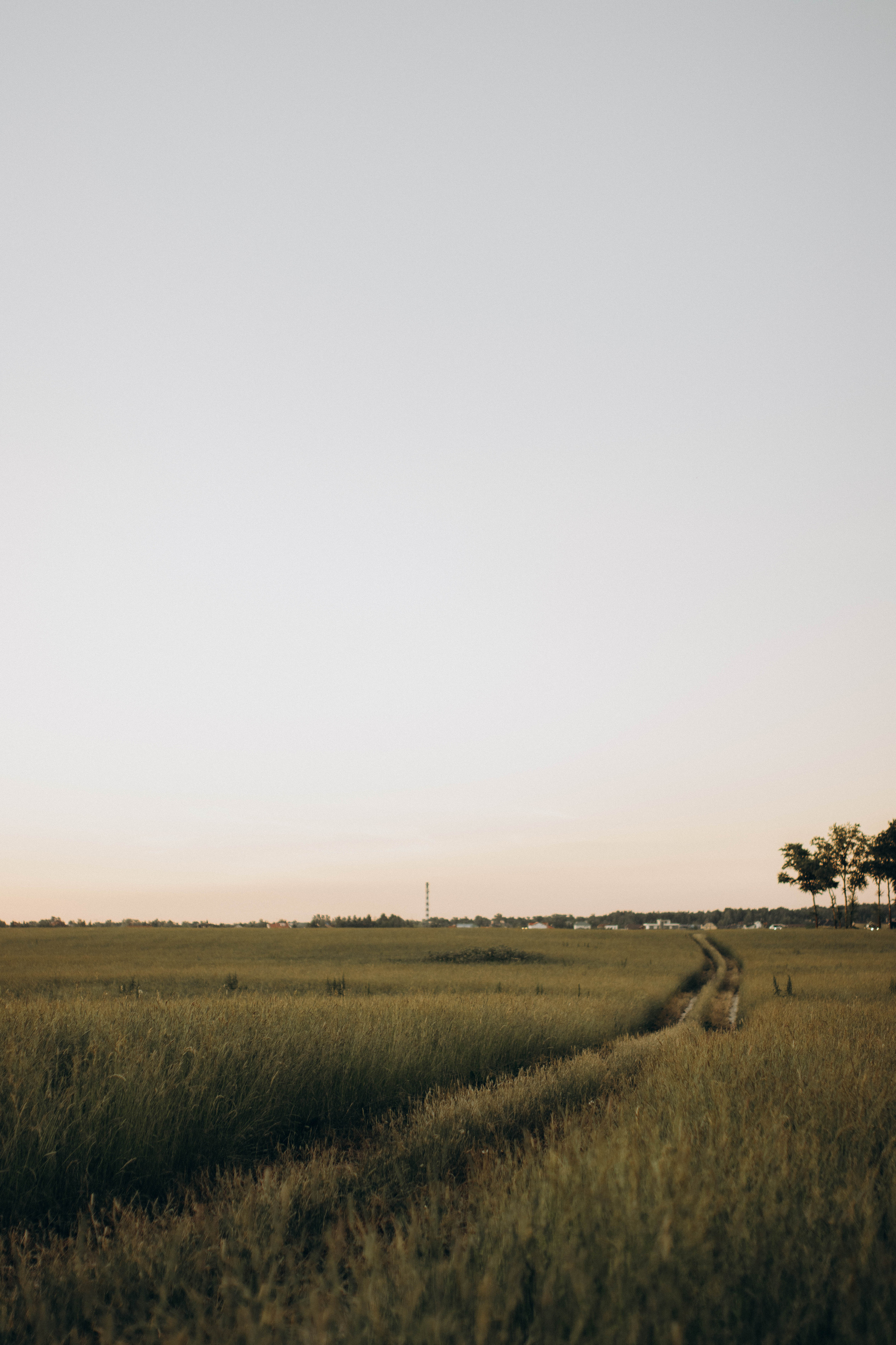 Провожая летний закат. Фотограф в Санкт-Петербурге Ольга Гиляревская
