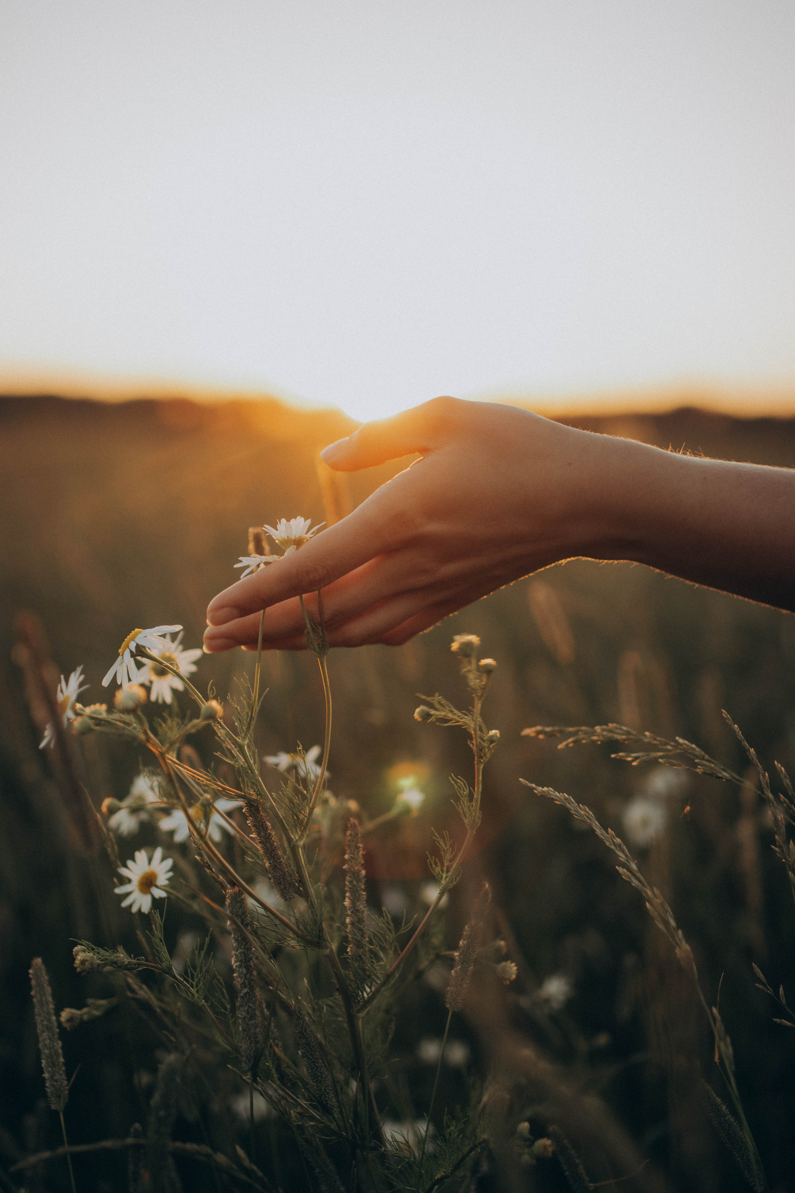 Провожая летний закат. Фотограф в Санкт-Петербурге Ольга Гиляревская