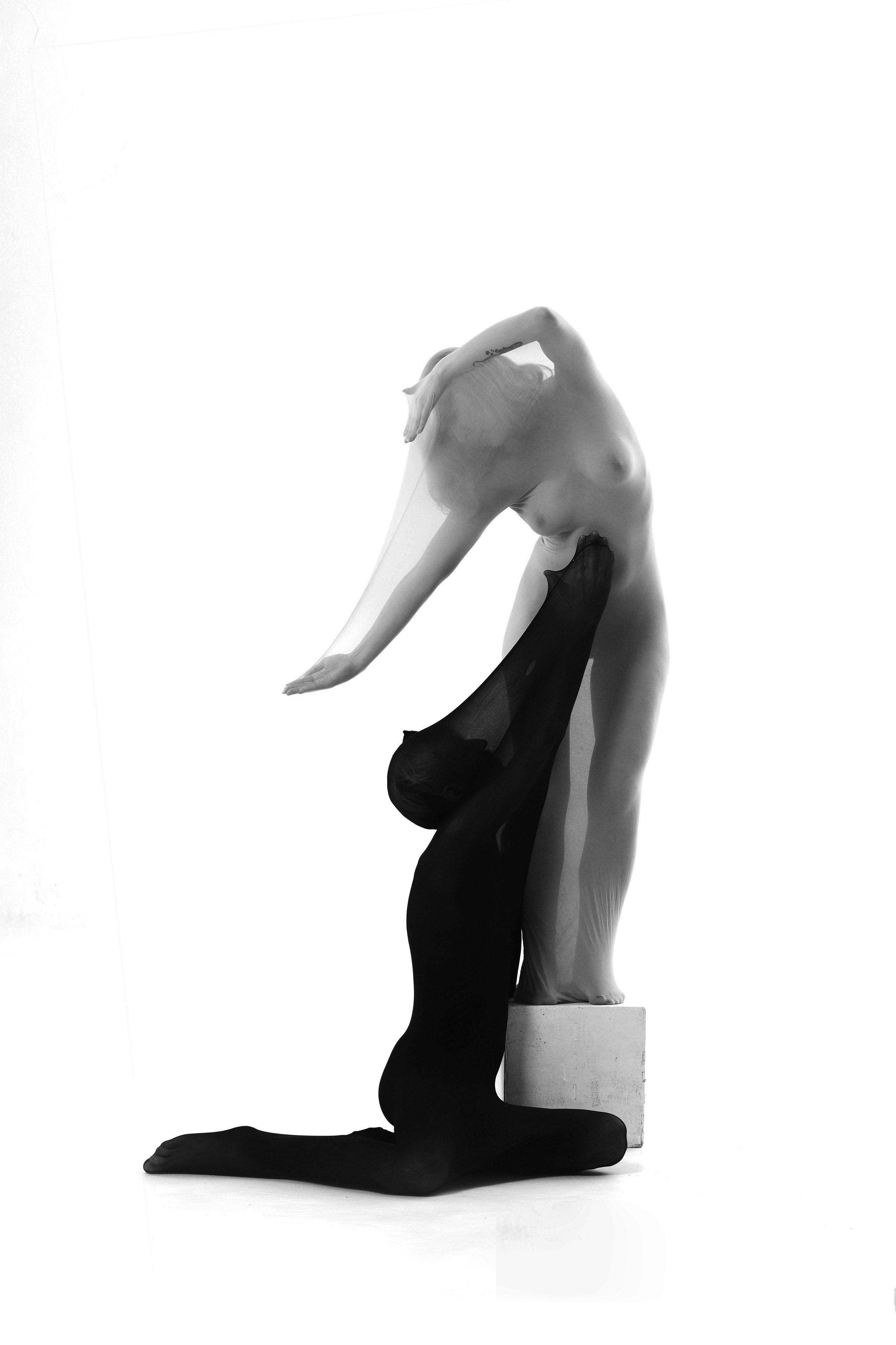 PDSM (Model Couple). PDSM Model Couple