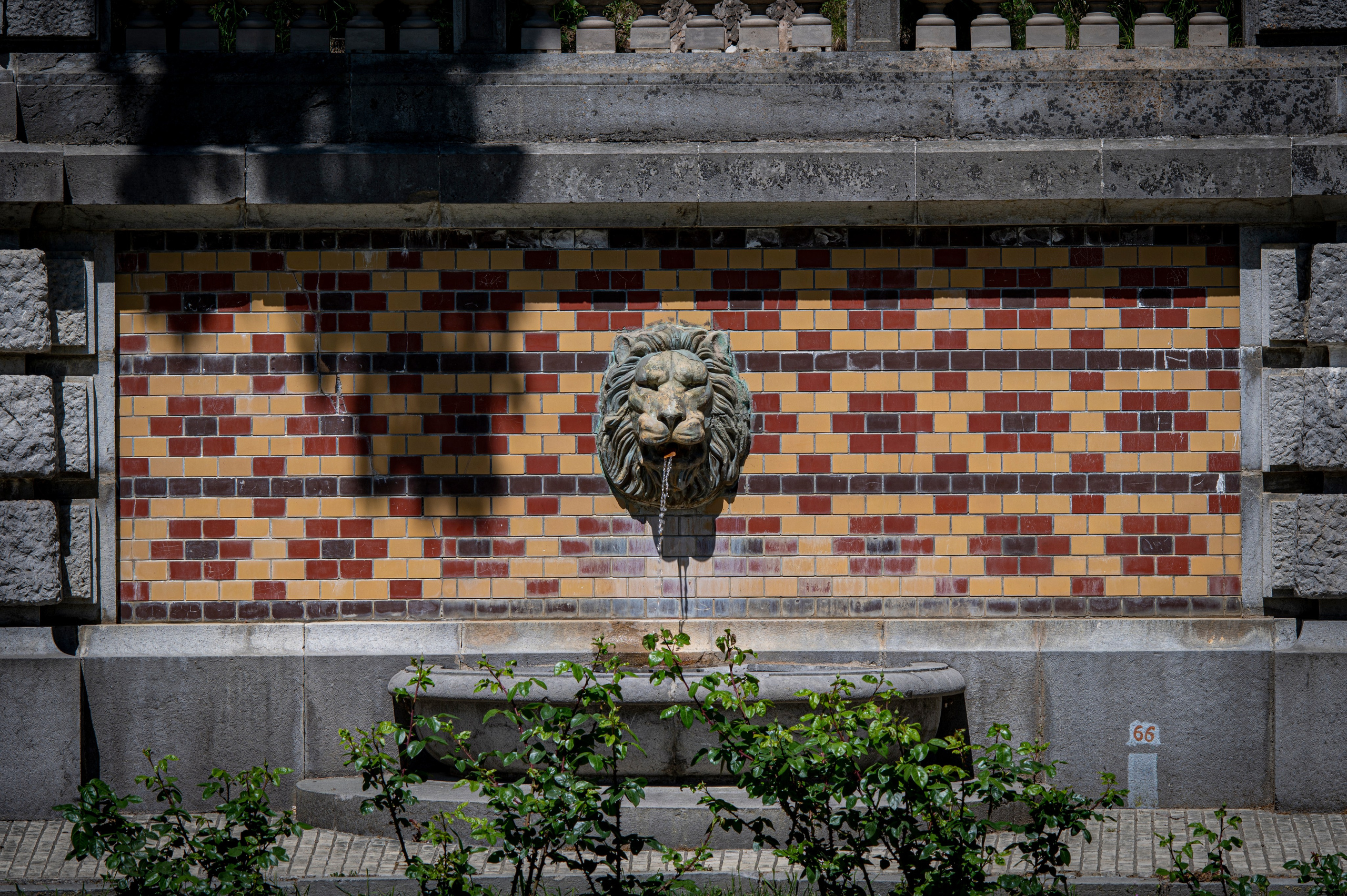 Крым май 2022. Фотограф Роман Адлер