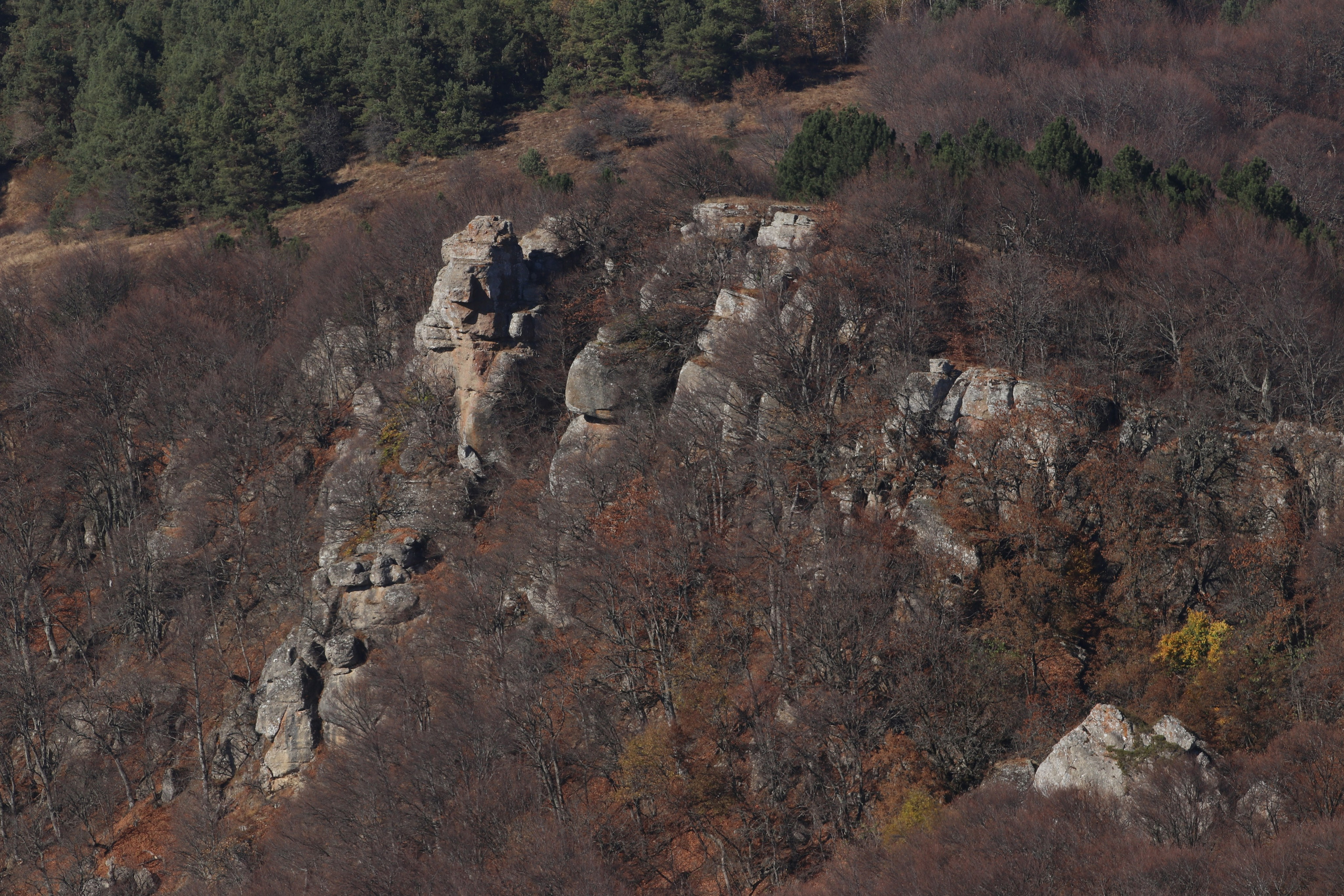 Крым. ЮБК (Гурзуф, Судак и их окрестности). Ноябрь 2023. Путешественник-фотограф из Санкт-Петербурга Татьяна Свистулина