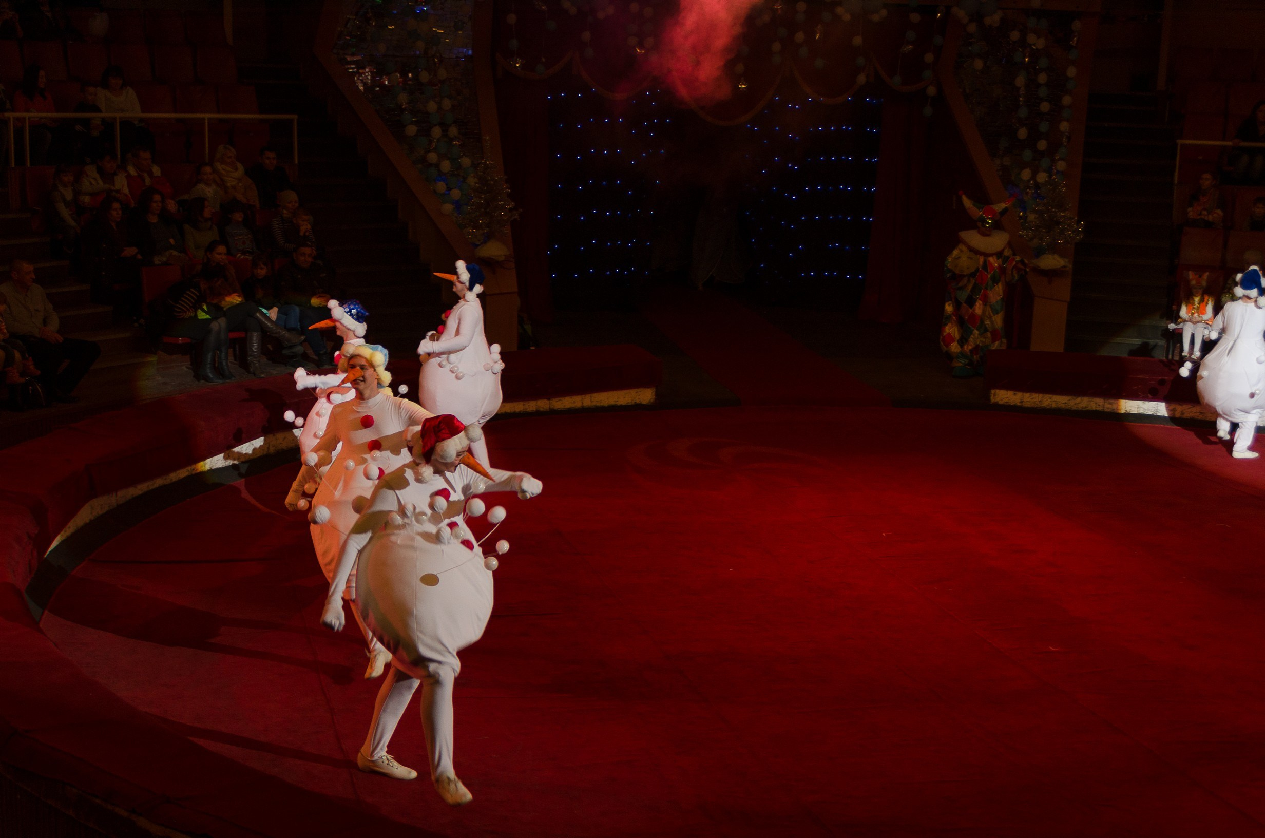 Цирк. Фотограф в РФ и ЛНР Юлия Федосеева