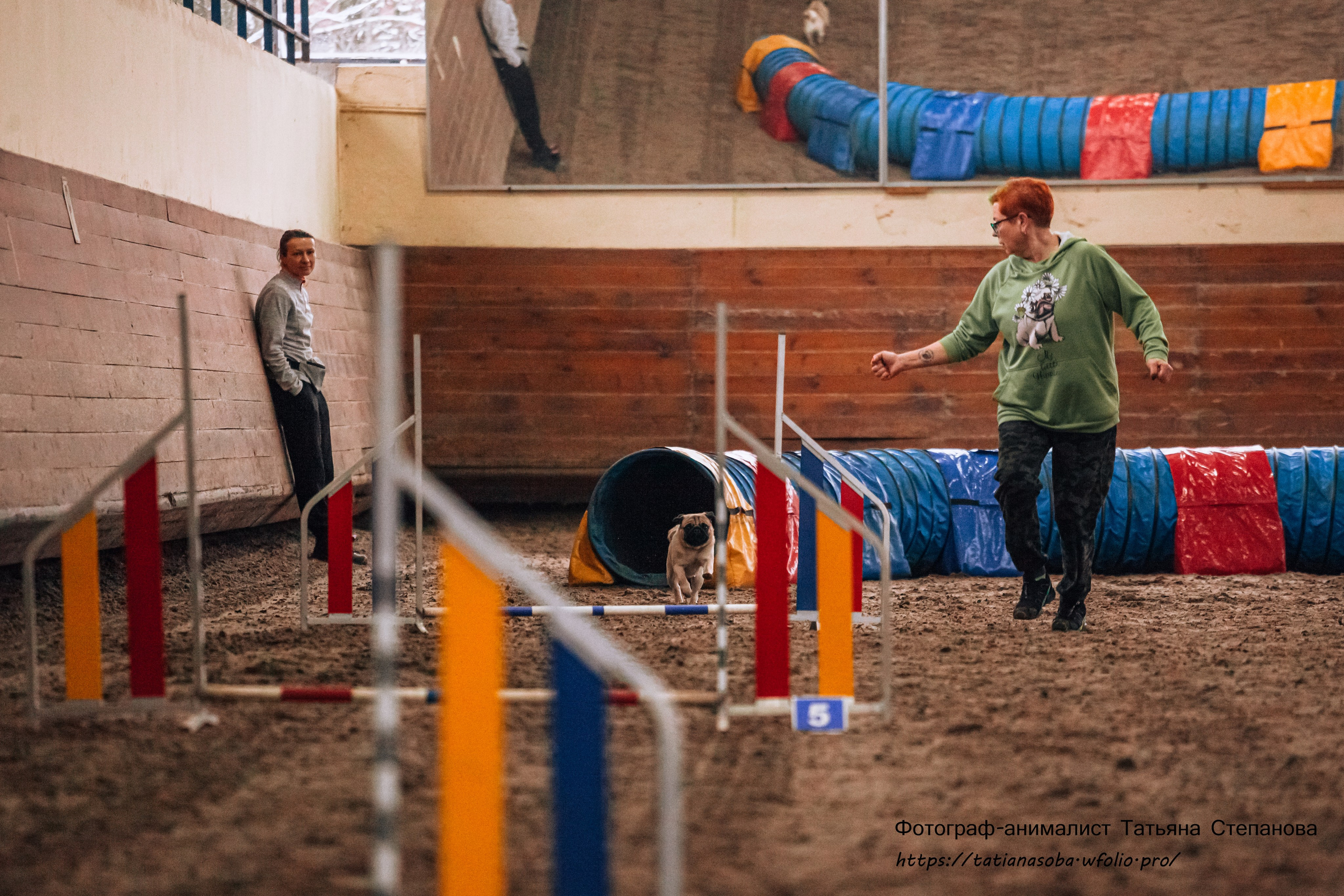 Соревнования по Аджилити 25.02.2024. Фотограф-анималист Татьяна Степанова