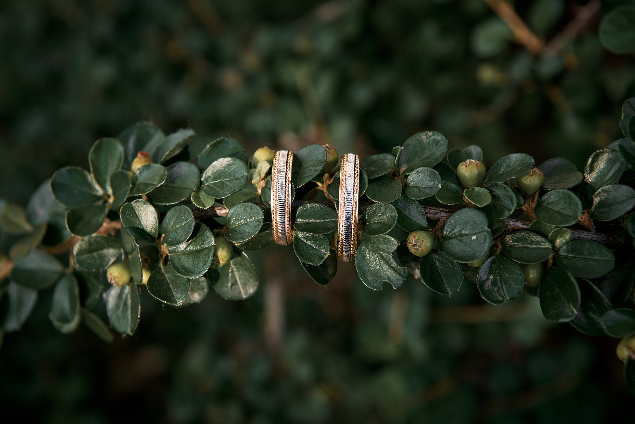 Владимир и Елена. Фотограф Дрожина Светлана | г. Ростов-на-Дону, г. Волгоград