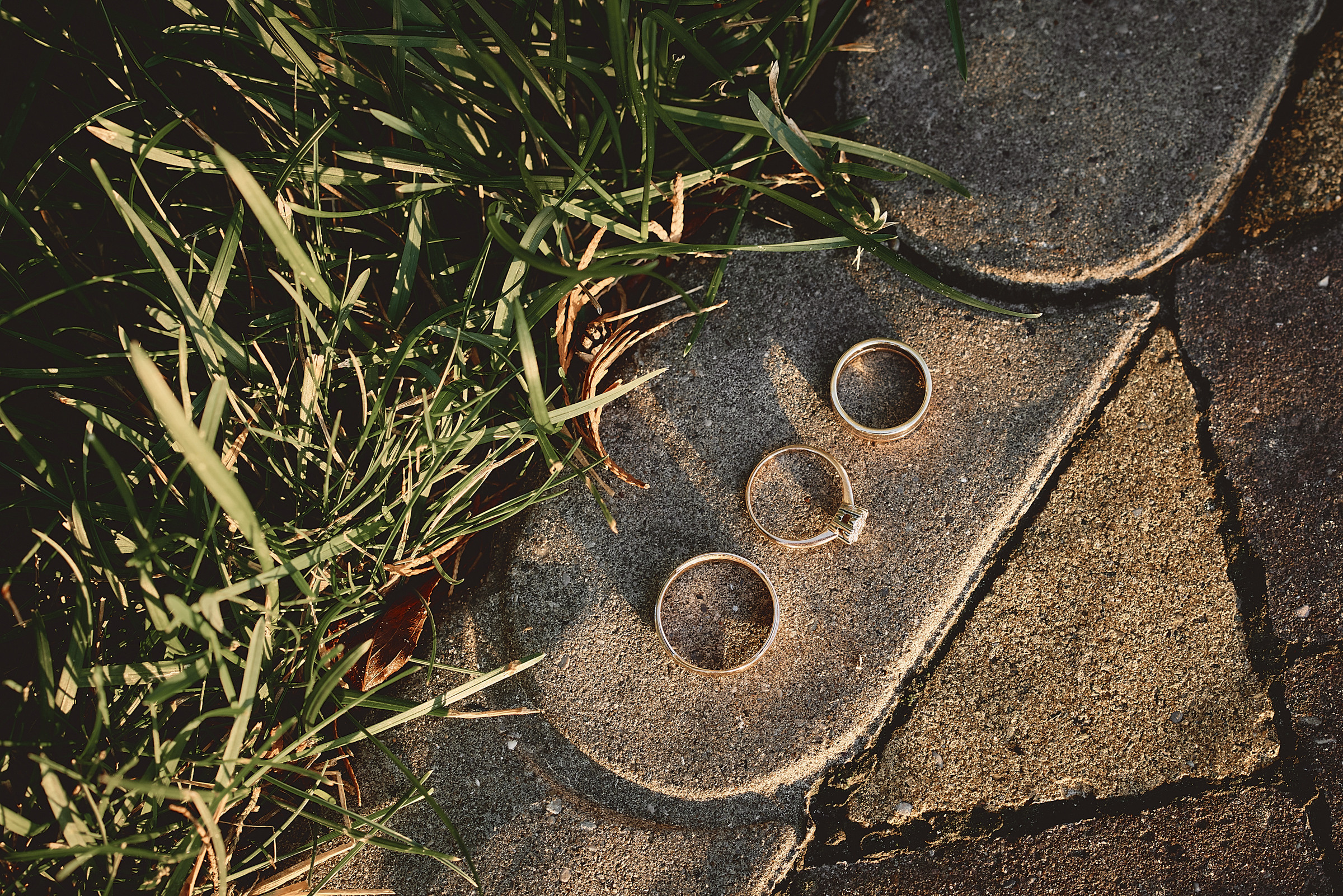 Свадьба Николай и Ксения (полный день). Фотограф Дрожина Светлана | г. Ростов-на-Дону, г. Волгоград