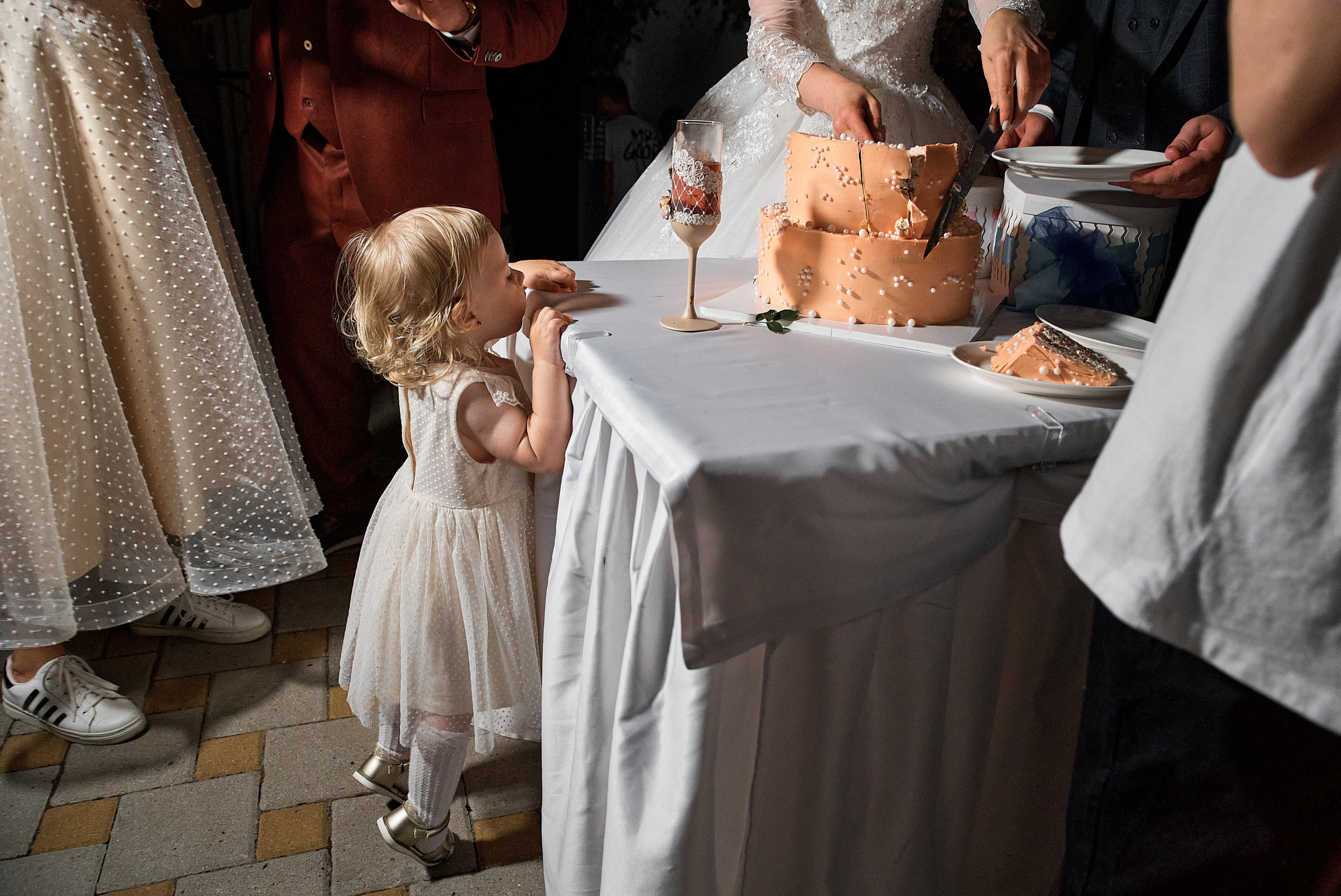 Свадьба Олег и Диана (полный день). Фотограф Дрожина Светлана | г. Ростов-на-Дону, г. Волгоград