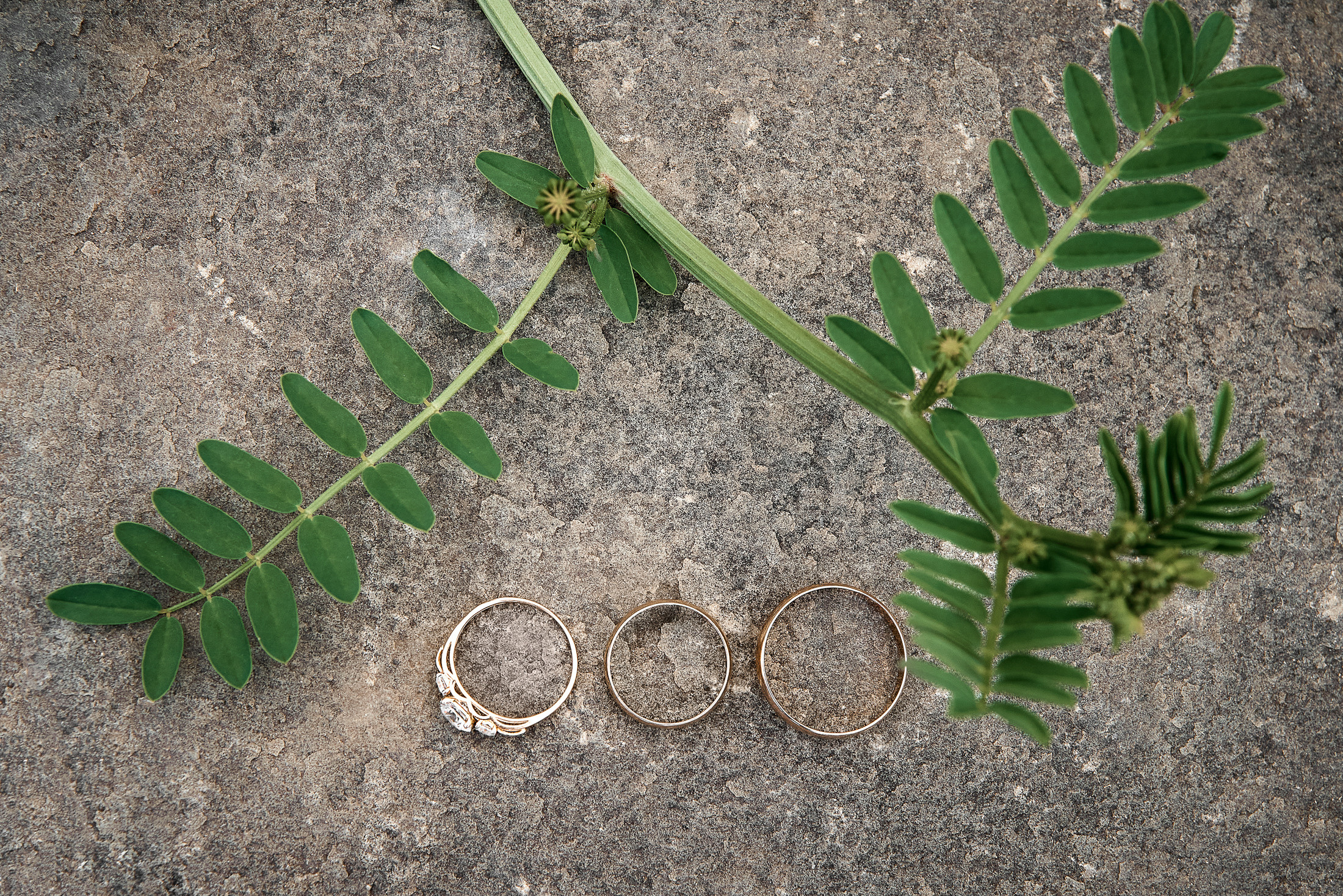 Венчание Сергей и Кристина. Фотограф Дрожина Светлана | г. Ростов-на-Дону, г. Волгоград