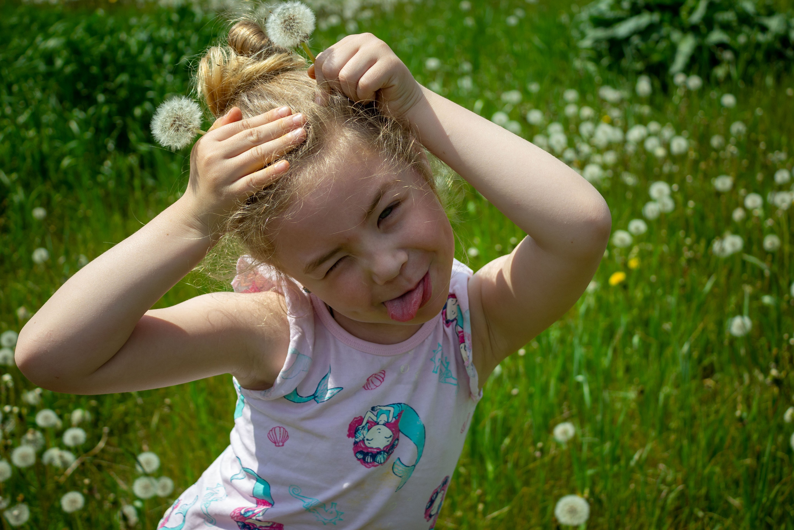 Одуванчики. Фотограф в Богдановиче Анна Сантяпова