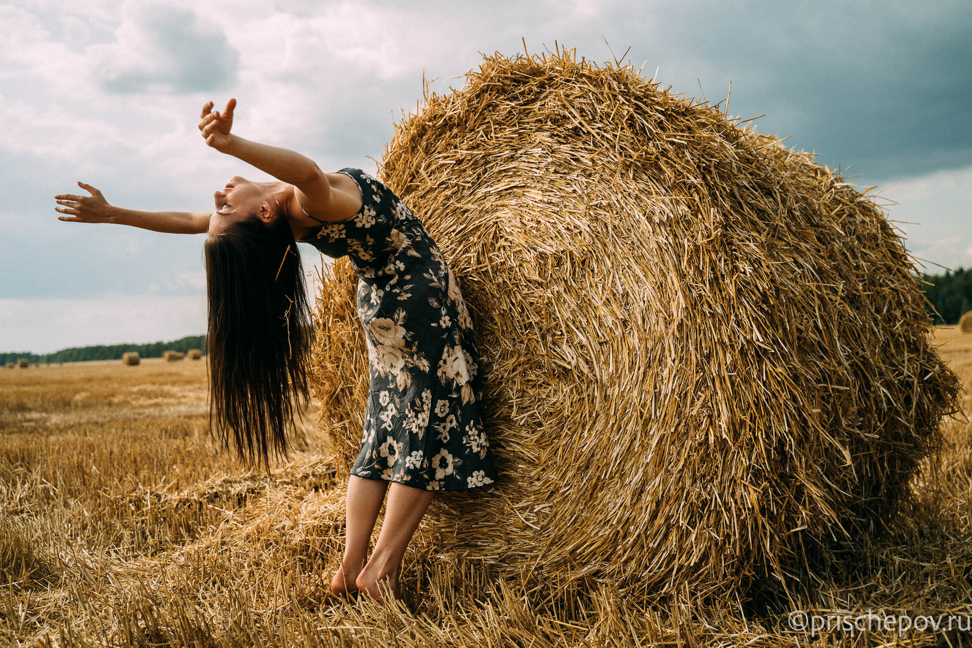 Сено. Александр Прищепов - фотограф, режиссёр, продюсер