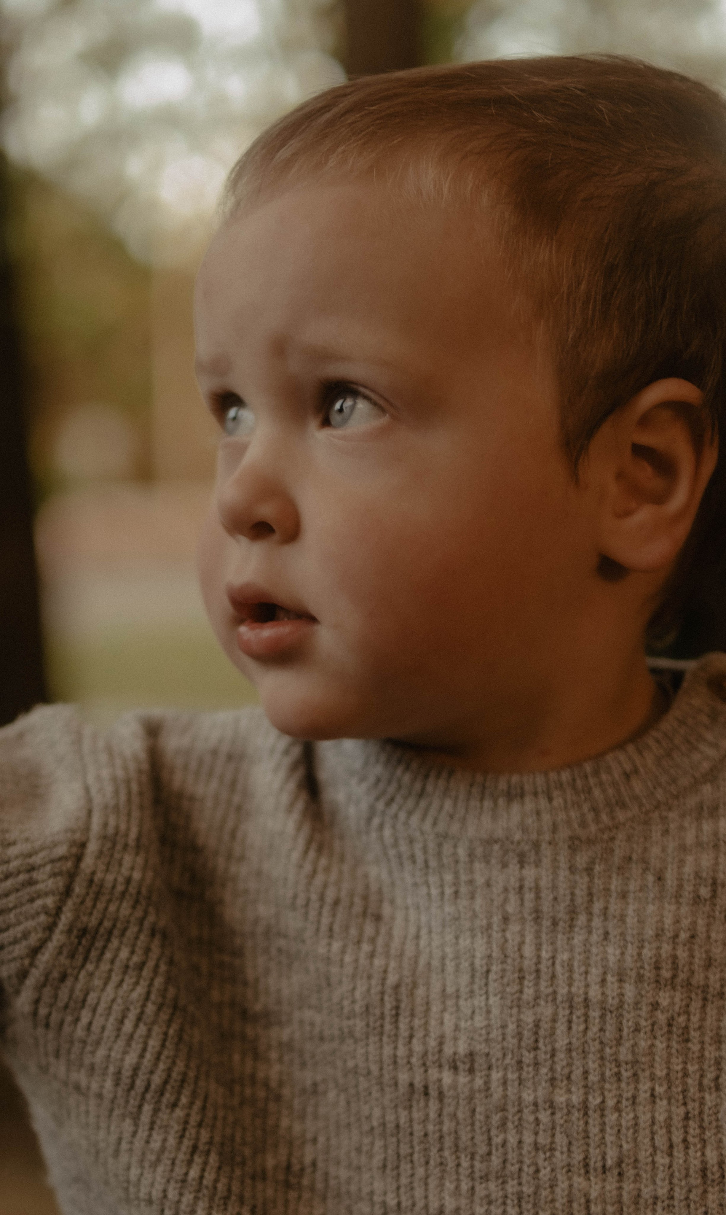 Ксюня, Ваня, Марк и 🐶. Свадебный фотограф Оля Григунова