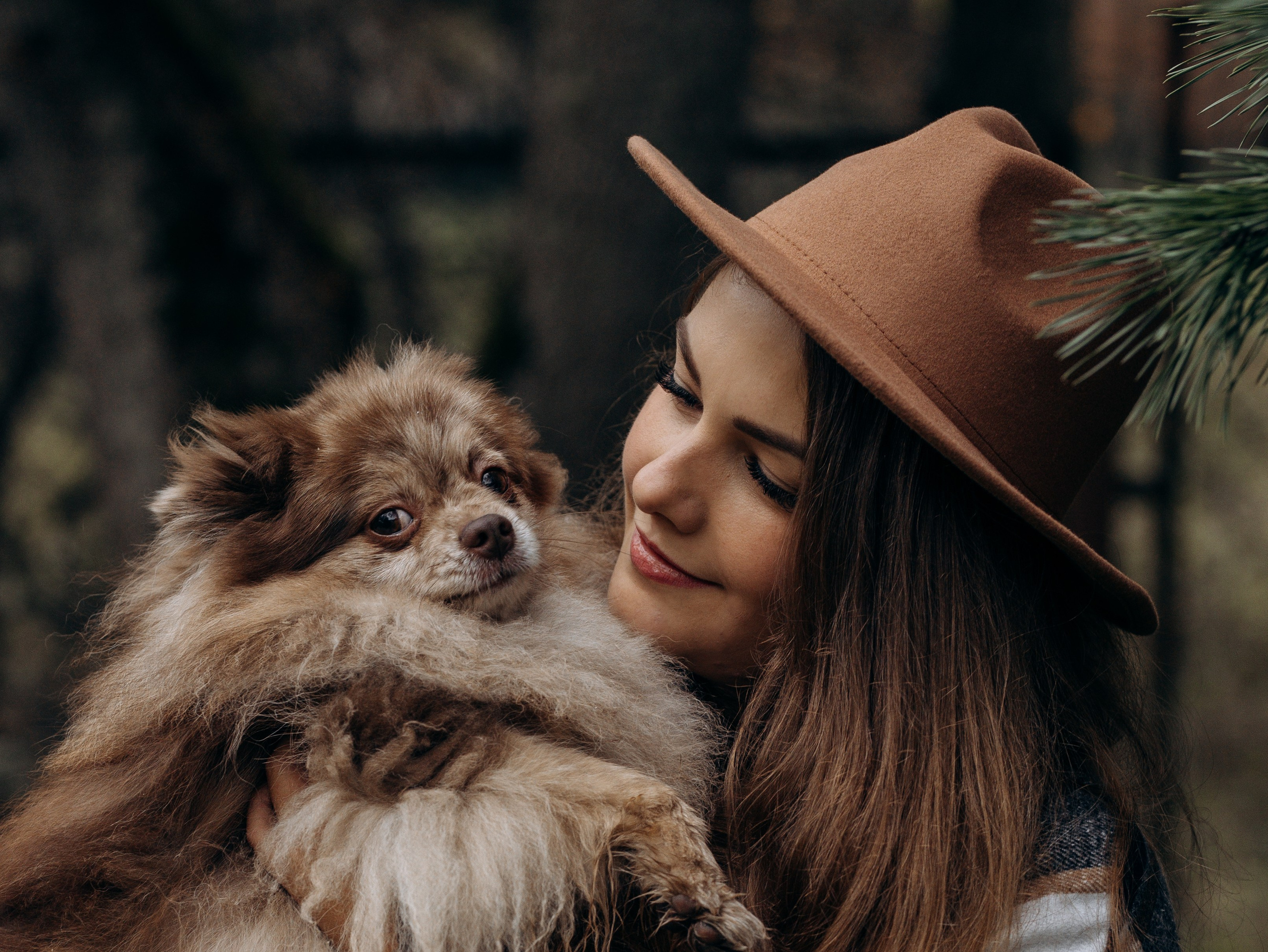 Скай, Марти и Катя. Фотограф-анималист в Москве Кириллова Татьяна