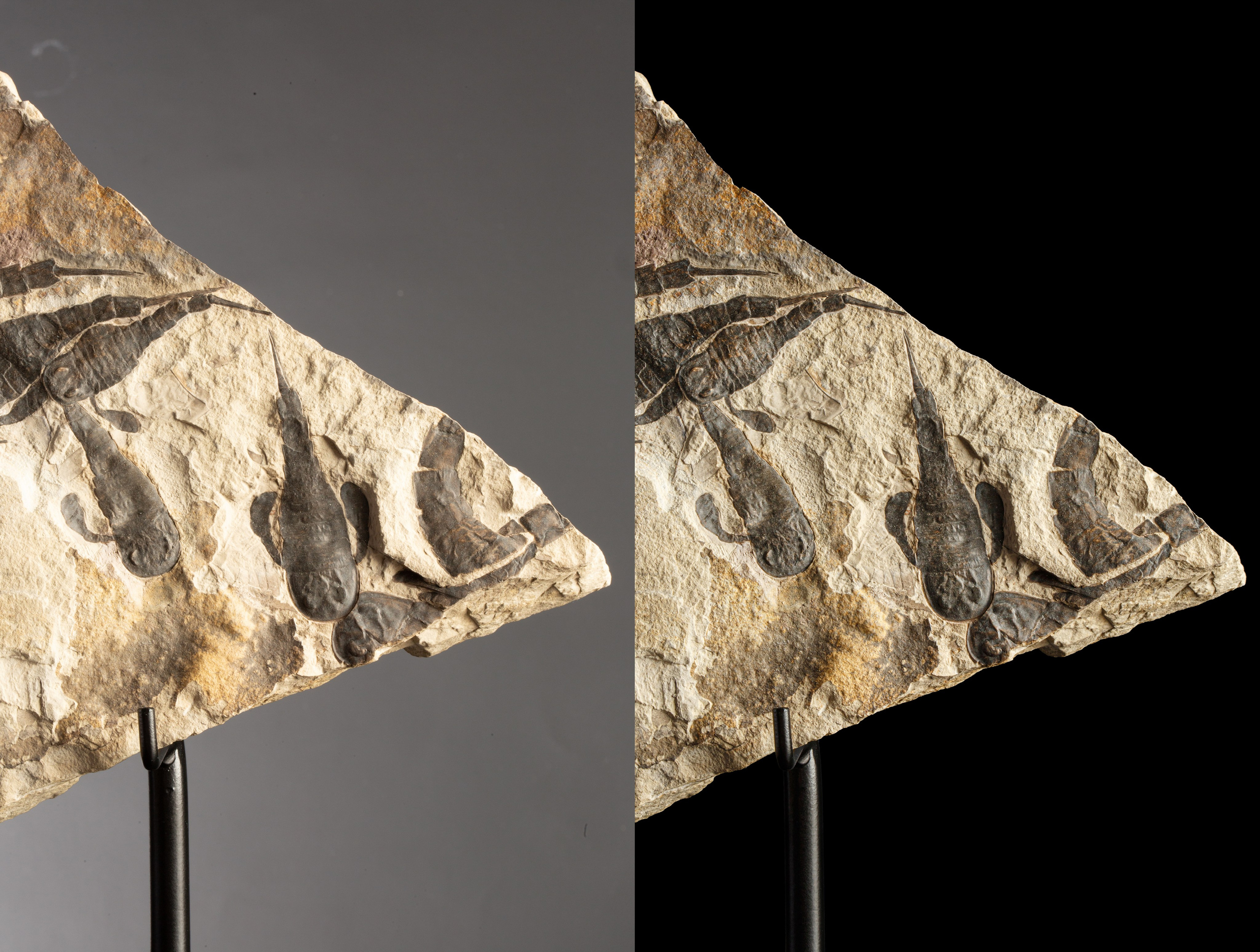 Профессиональная обработка натуральных камней, минералов и ископаемых | Студия SVITHART