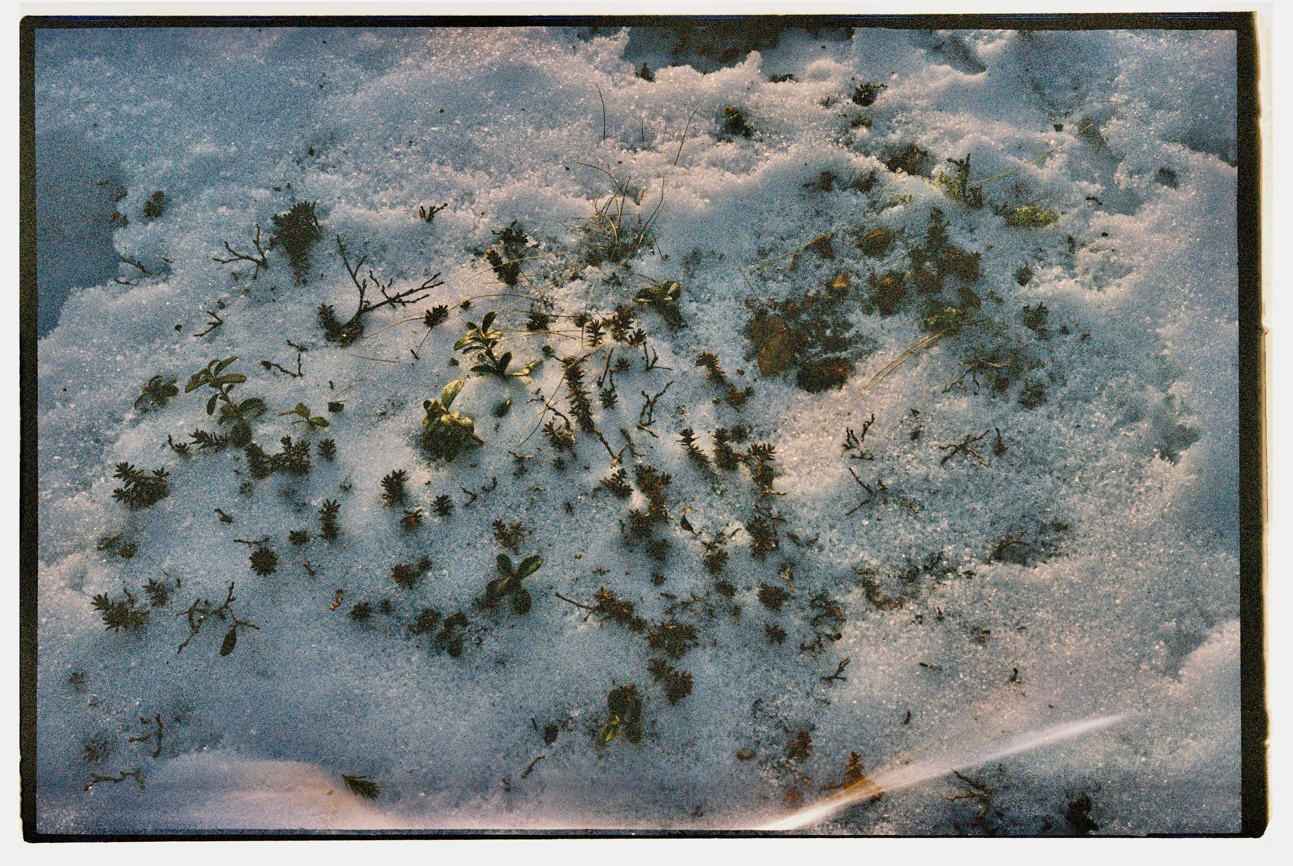 Пленка. Фотограф Андрей Куськало