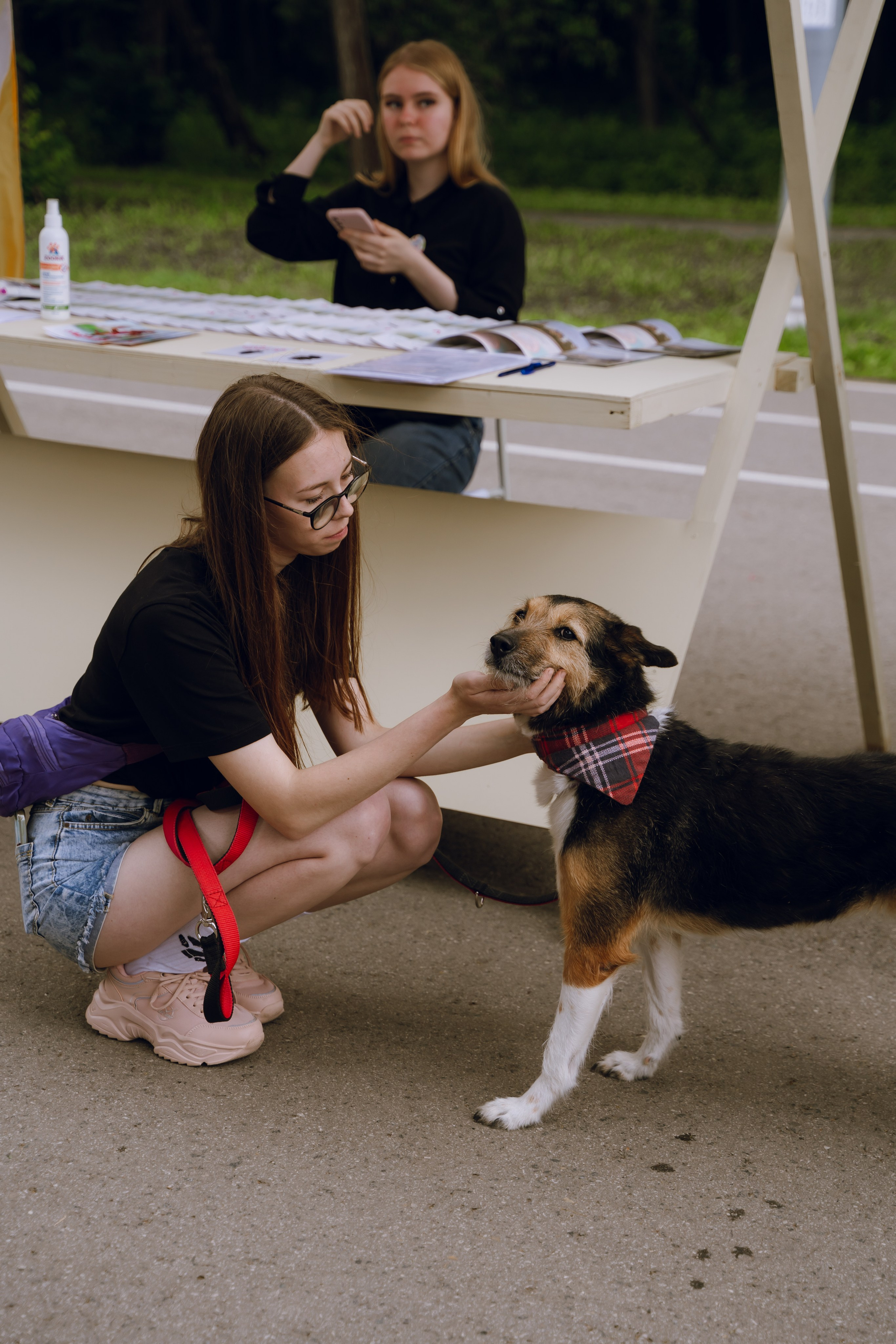 Площадка фестиваля «Мампус и его друзья» в Лесопарке 2025. Фотограф Надежда Погребняк | Рязань | Москва