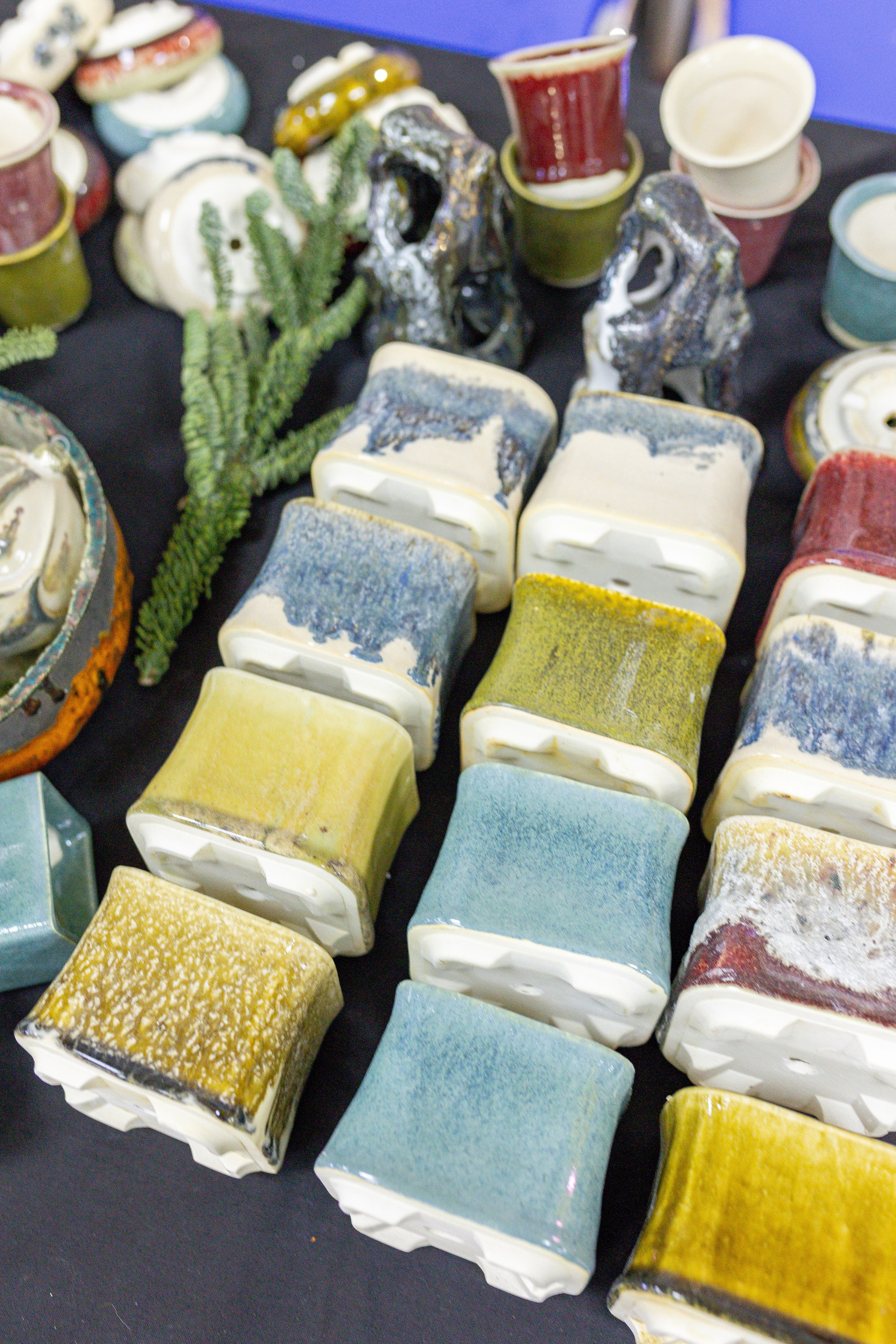 Орхидиум 12.2025. Александра Куликова фотограф, Москва