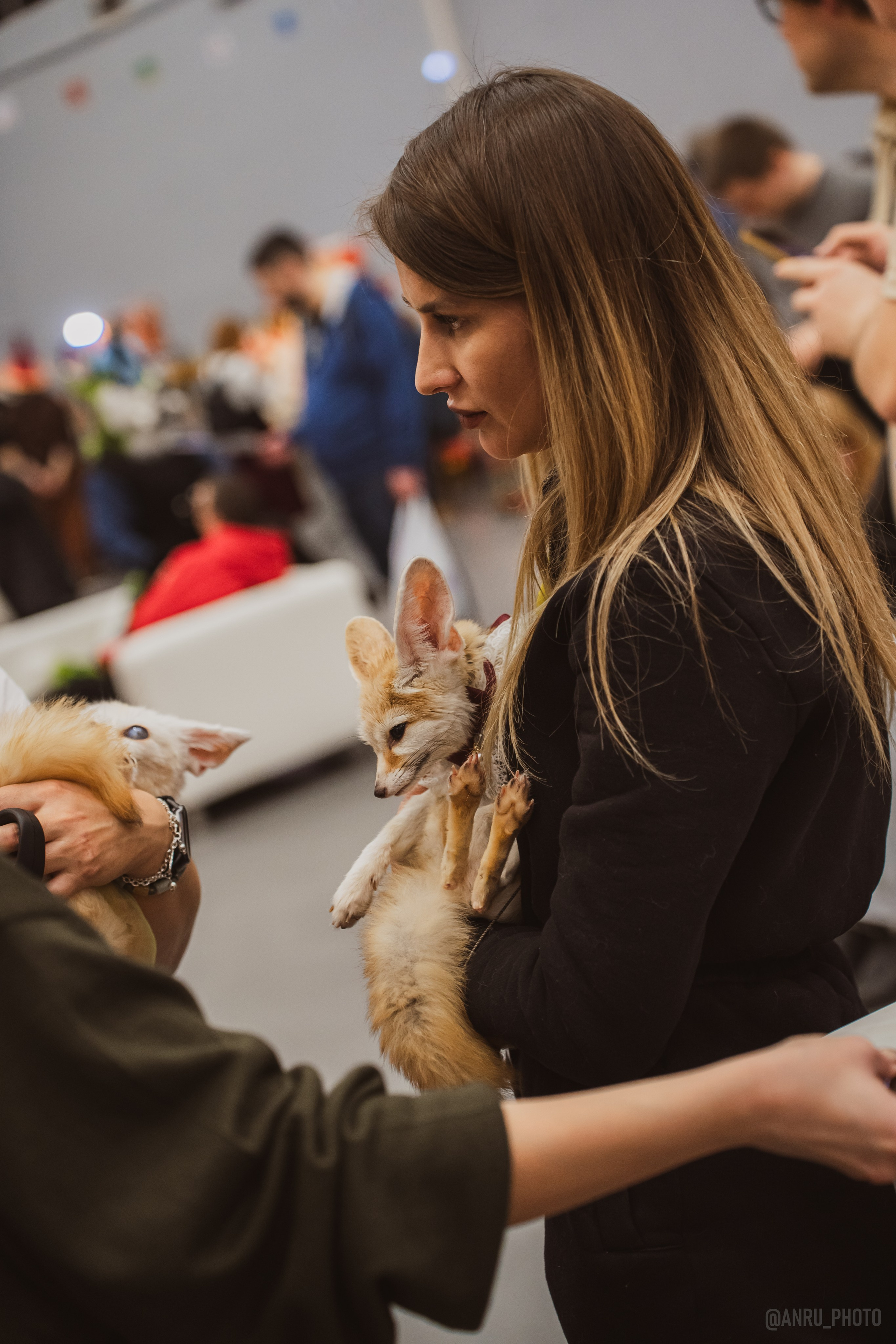 Fox Family fest. Репортажный фотограф Анастасия Рубцова