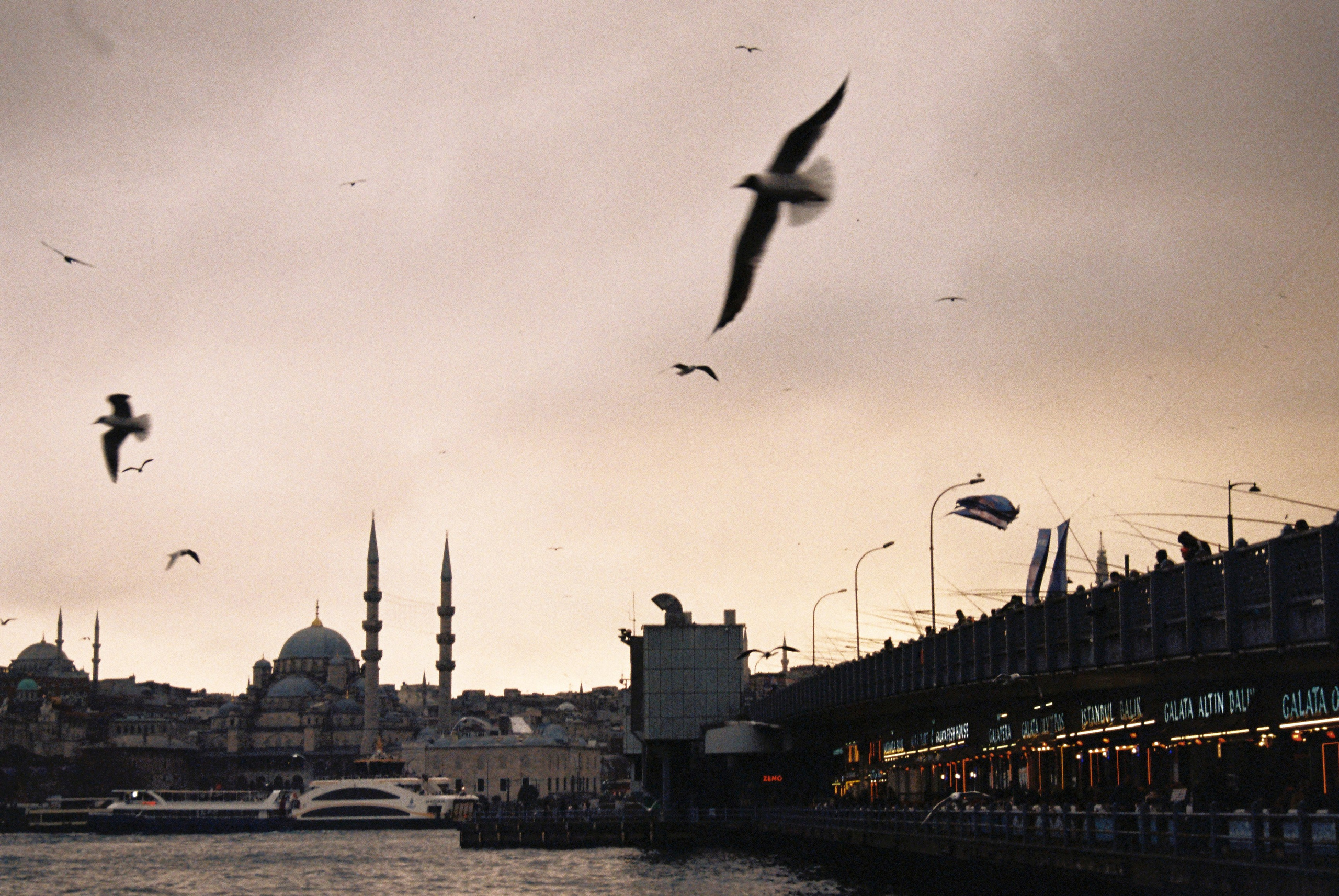 Film chronicle. Kosky ilya