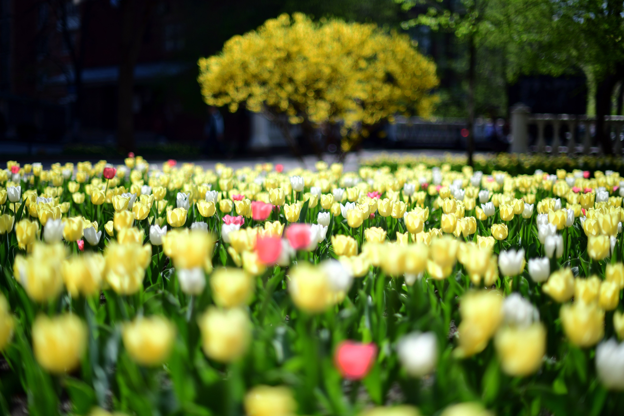 РОСТОВ. Фотограф Глеб Садов
