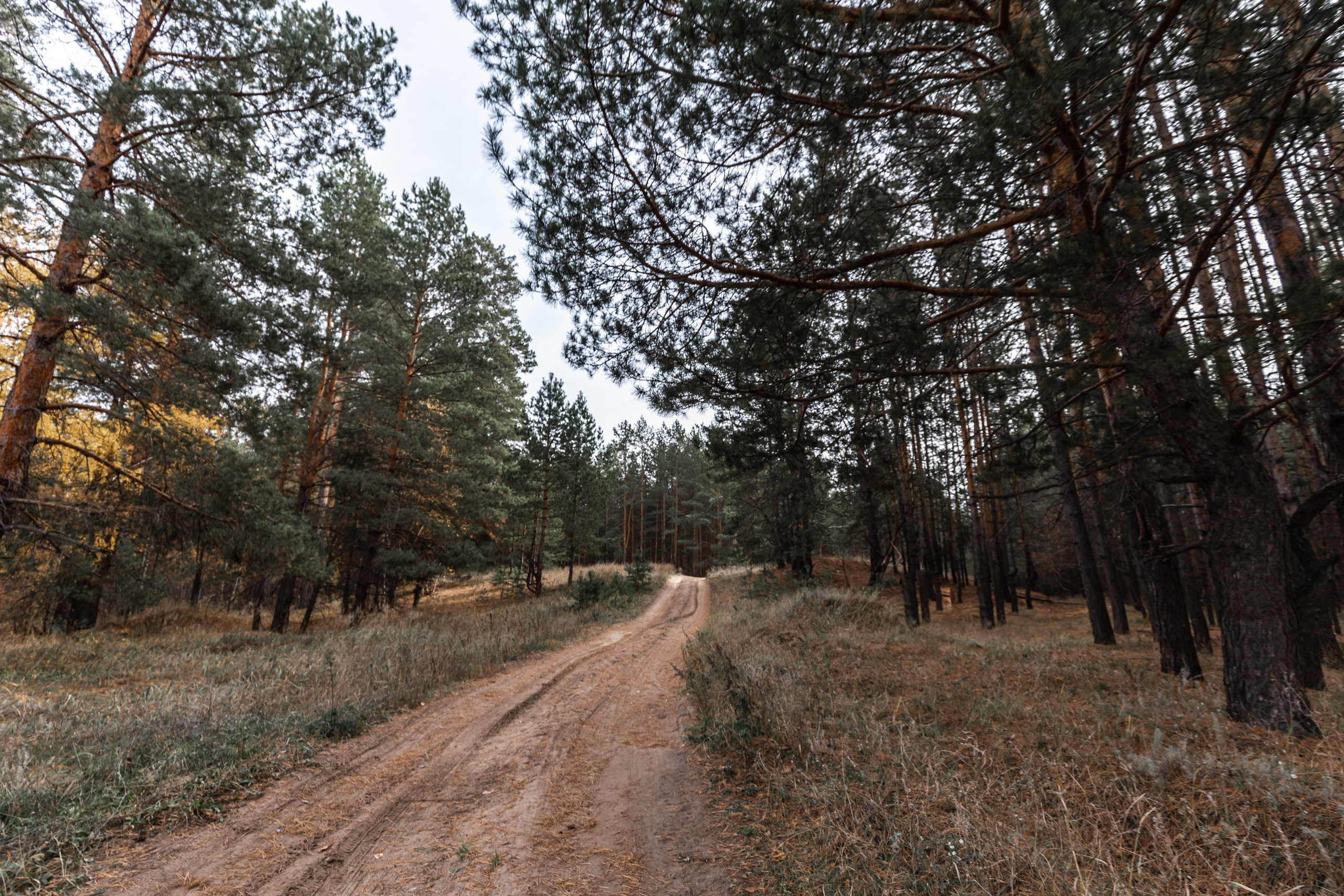 Jaecoo J7 2.0. Фотограф в Самаре / Олеся Широнина