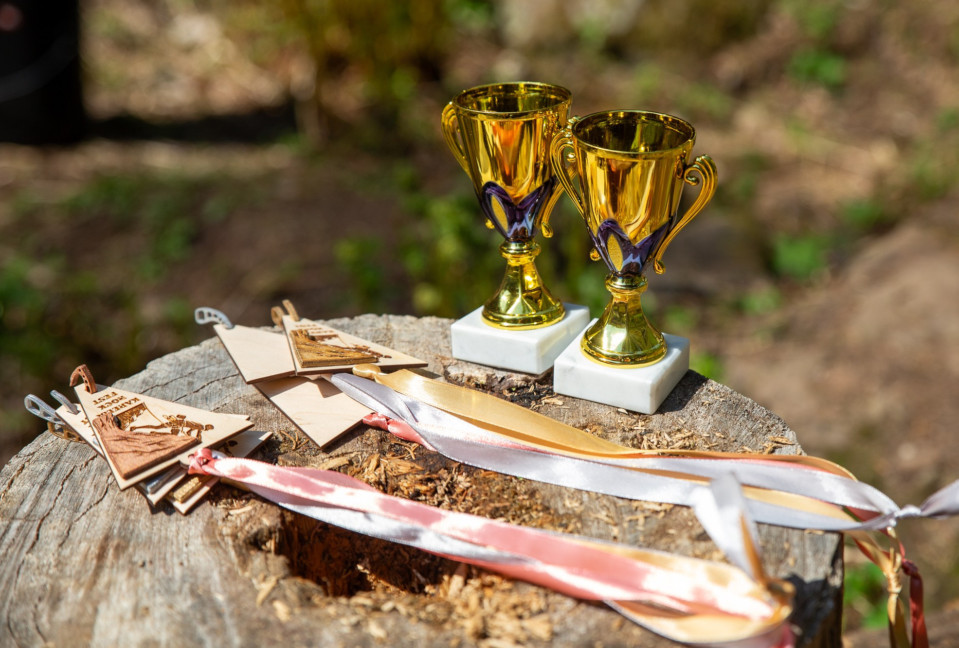 Скальный фестиваль KareliaRockFest 2025. Lora8299.wfolio.pro