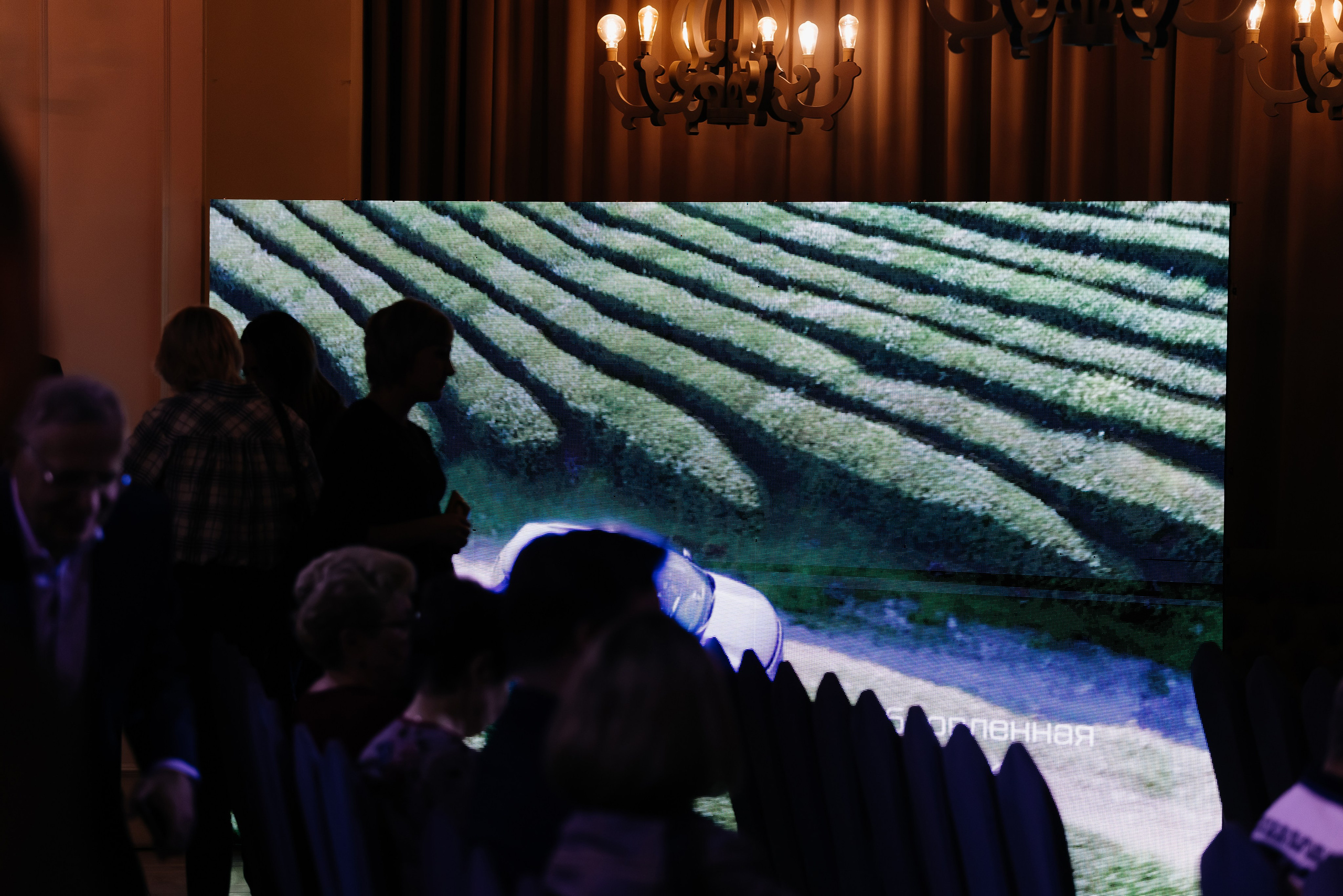 БКС. Фотограф Кемерово | Сергей