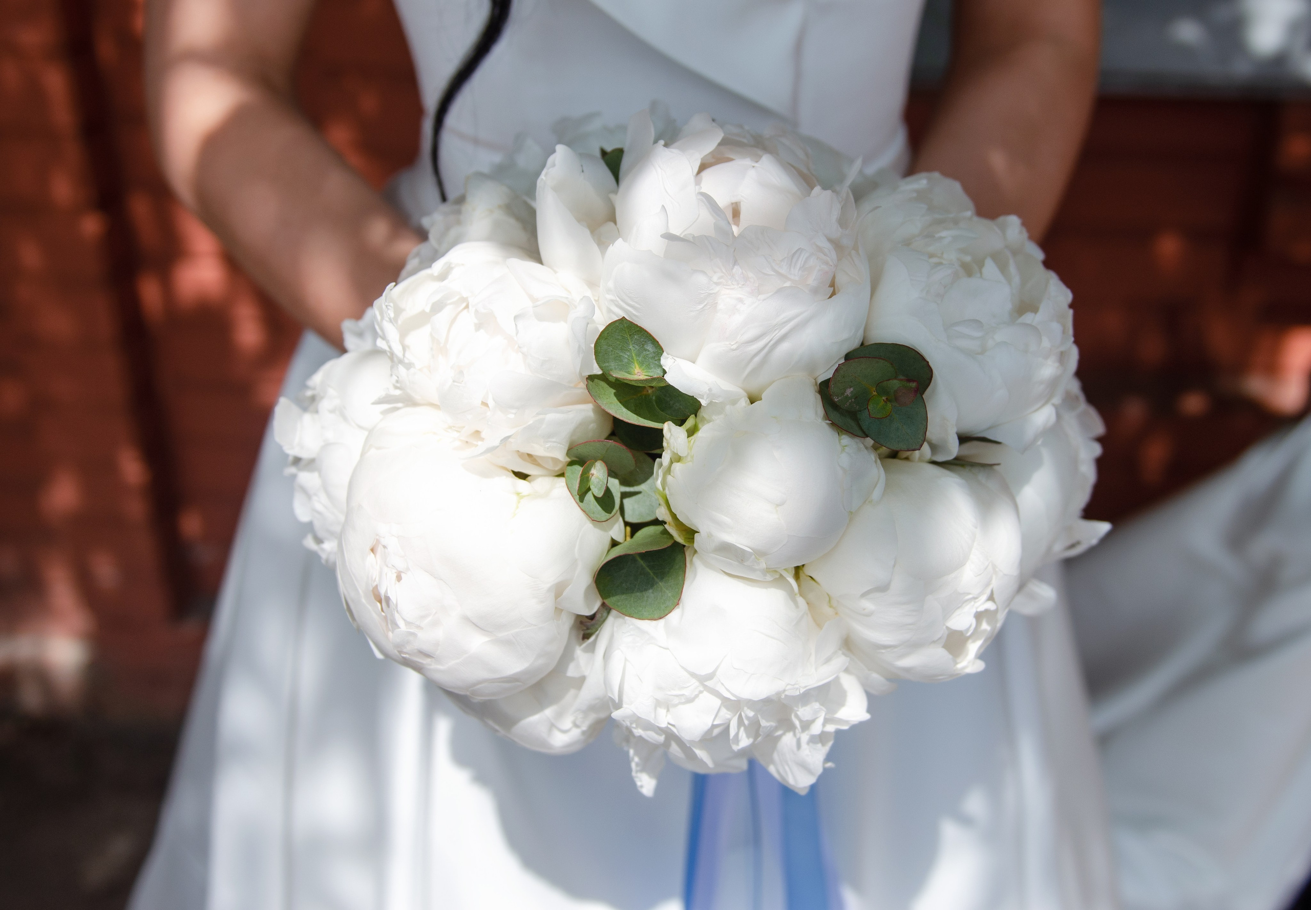 Александра и Артём. Семейный и детский фотограф в Воронеже София Минакова