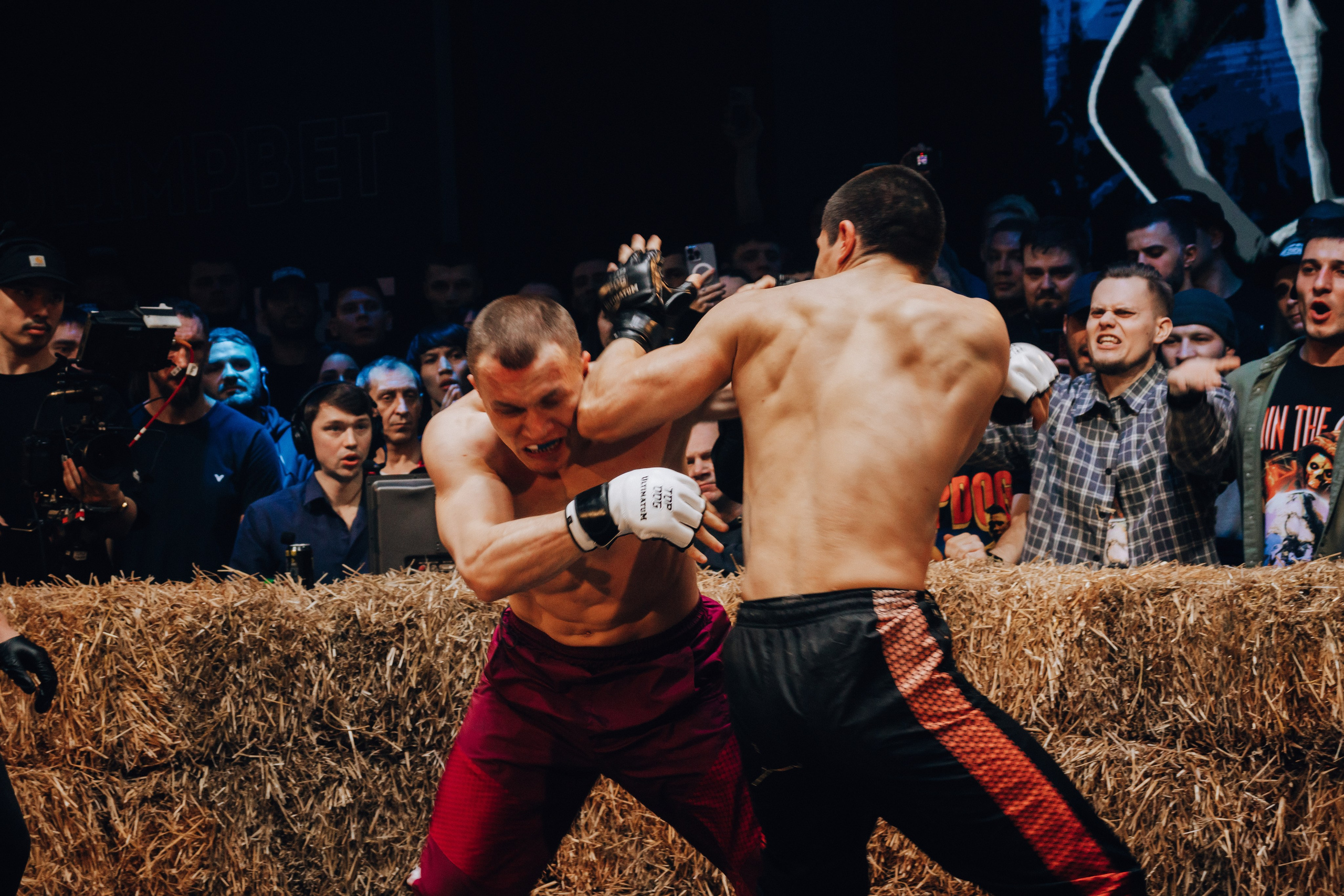 Кулачные бои TopDog. Анастасия Тен