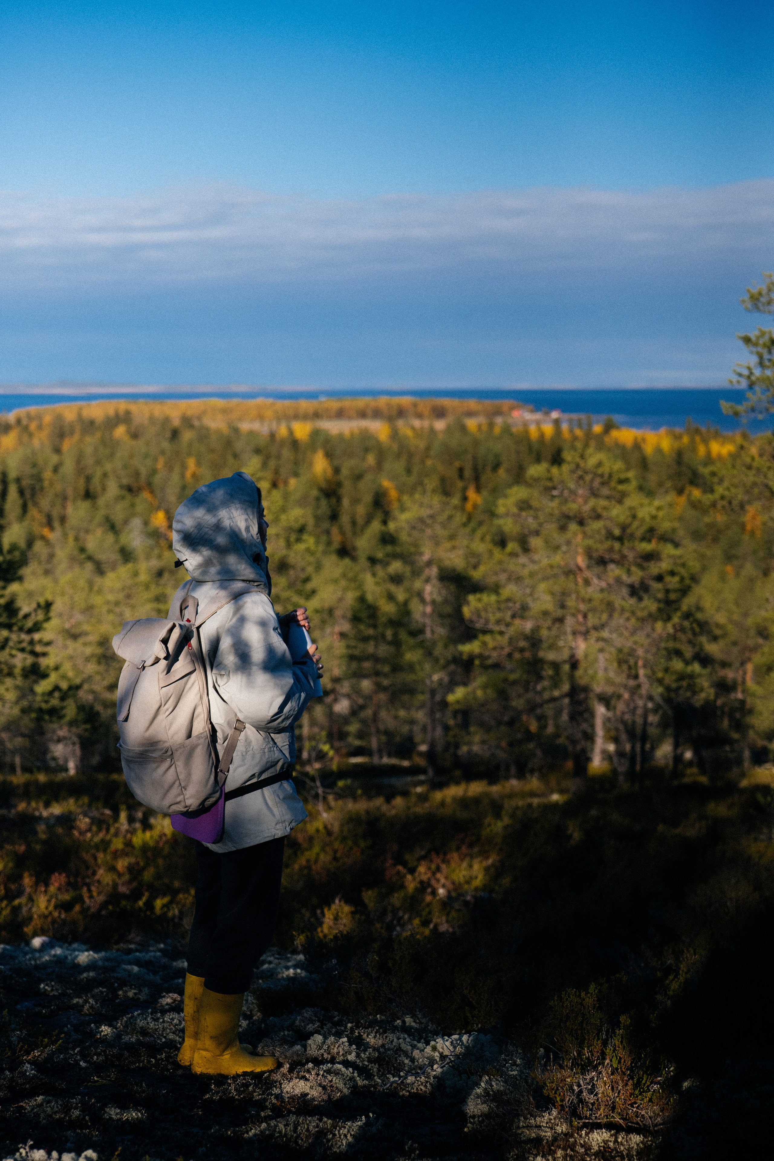 КАРЕЛИЯ / ОСЕНЬ. Создание контента | Фото | Видеосъемка | Александр Ярков