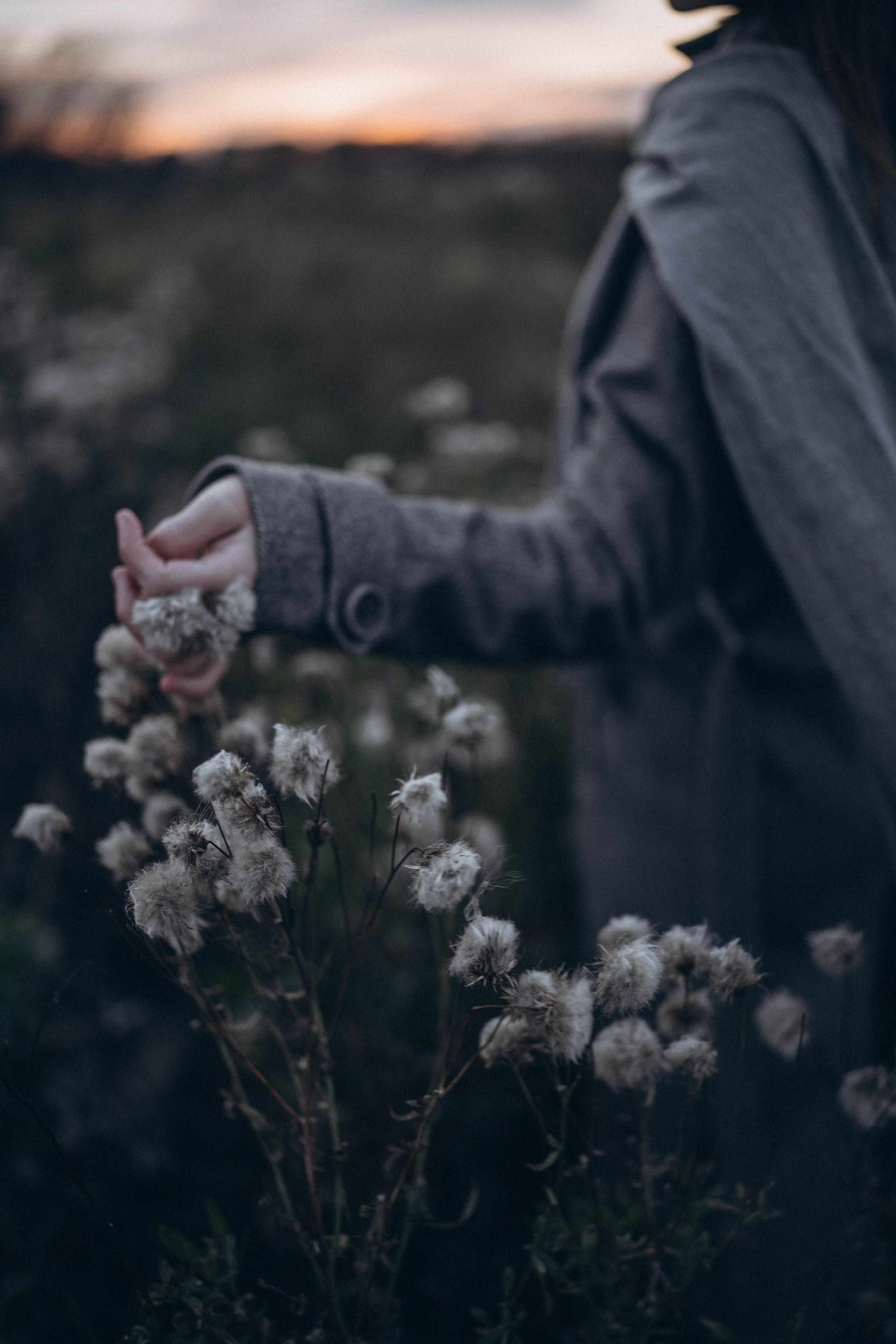 Юлия. Свадебный и семейный фотограф в Перми Дарья Алекс
