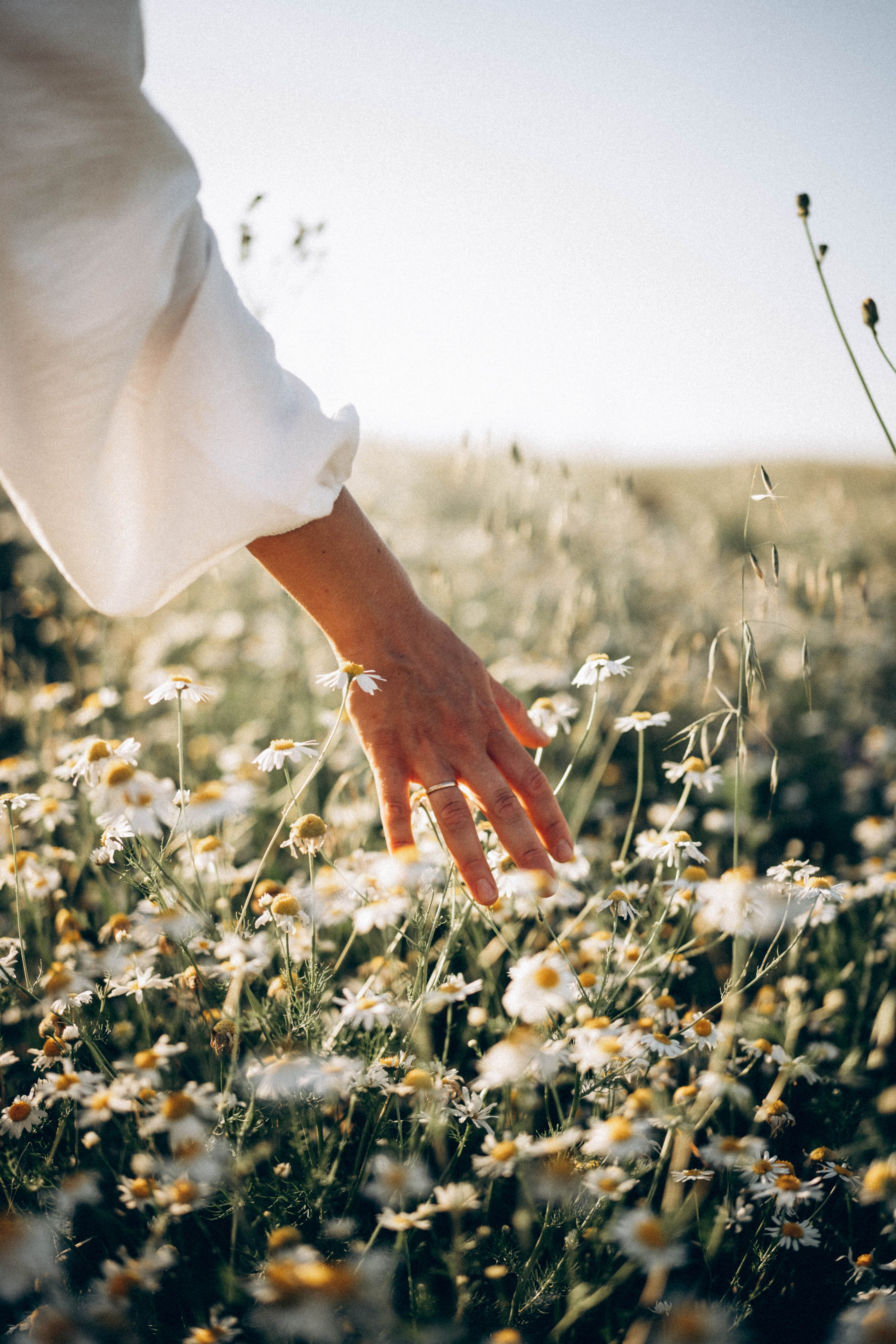 Семья ♥. Свадебный и семейный фотограф в Перми Дарья Алекс