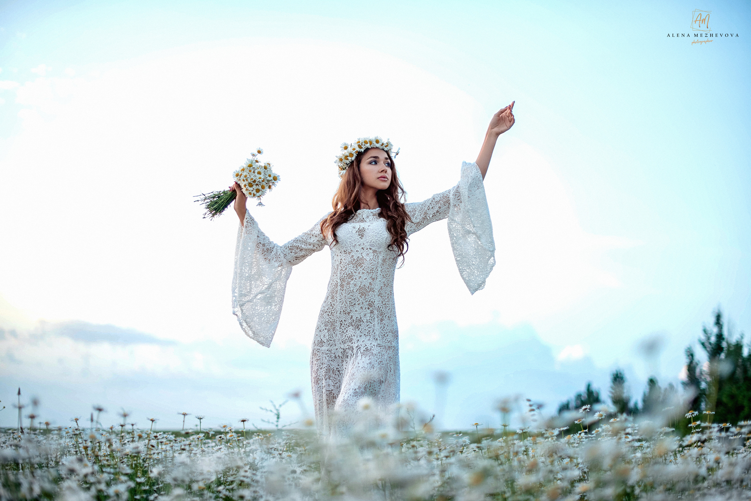 Фотосессии в ромашковом поле. Свадебный и семейный фотограф и видеограф, Крым, Москва, Санкт -Петербург