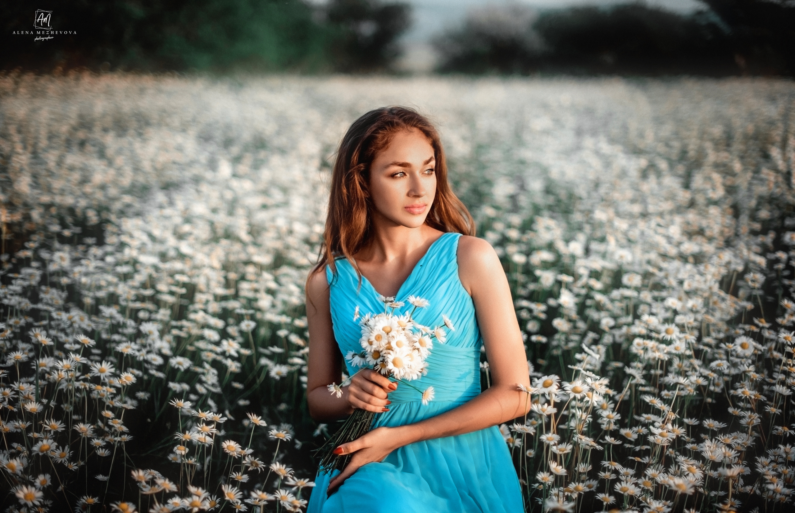 Фотосессии в ромашковом поле. Свадебный и семейный фотограф и видеограф, Крым, Москва, Санкт -Петербург