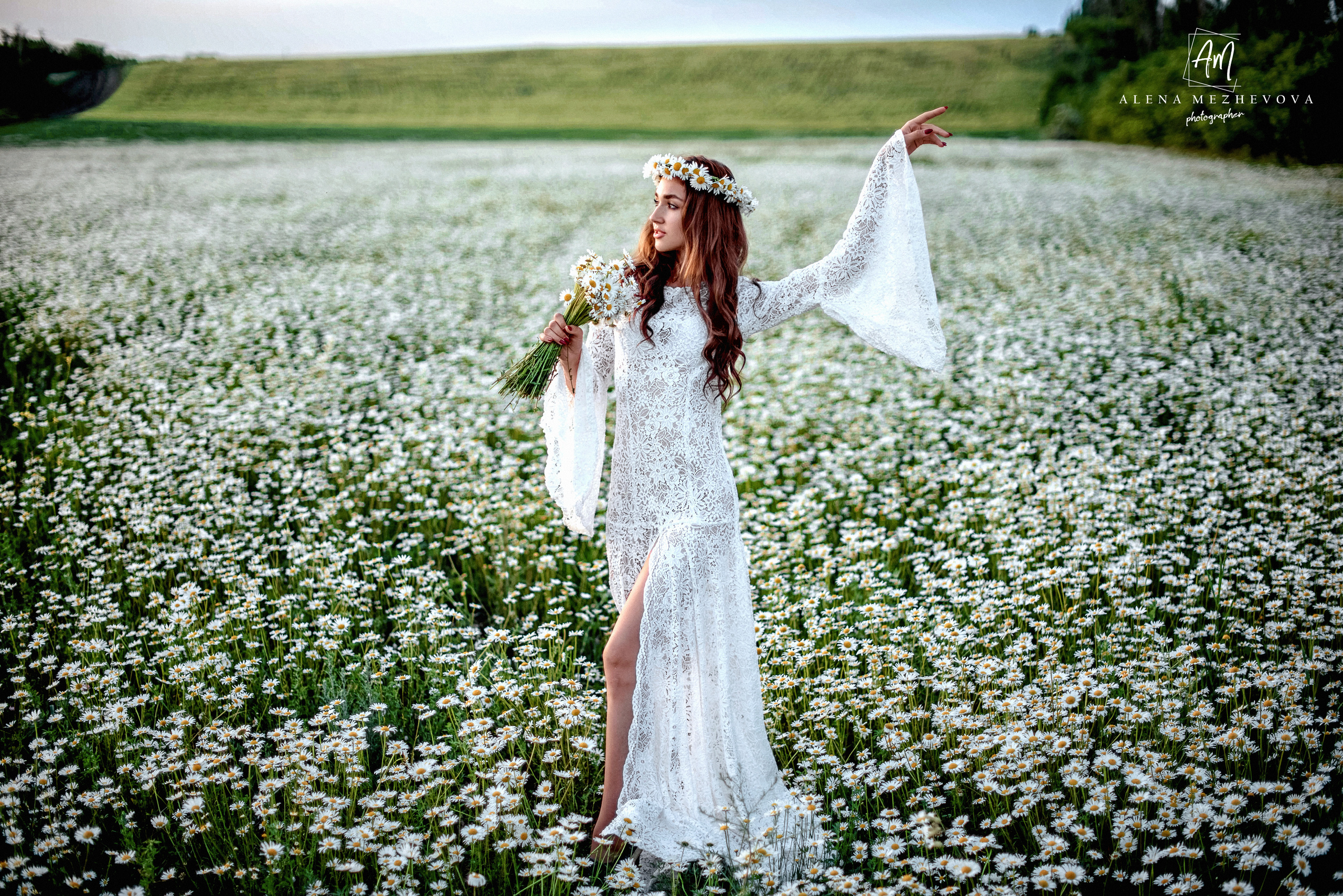 Фотосессии в ромашковом поле. Свадебный и семейный фотограф и видеограф, Крым, Москва, Санкт -Петербург