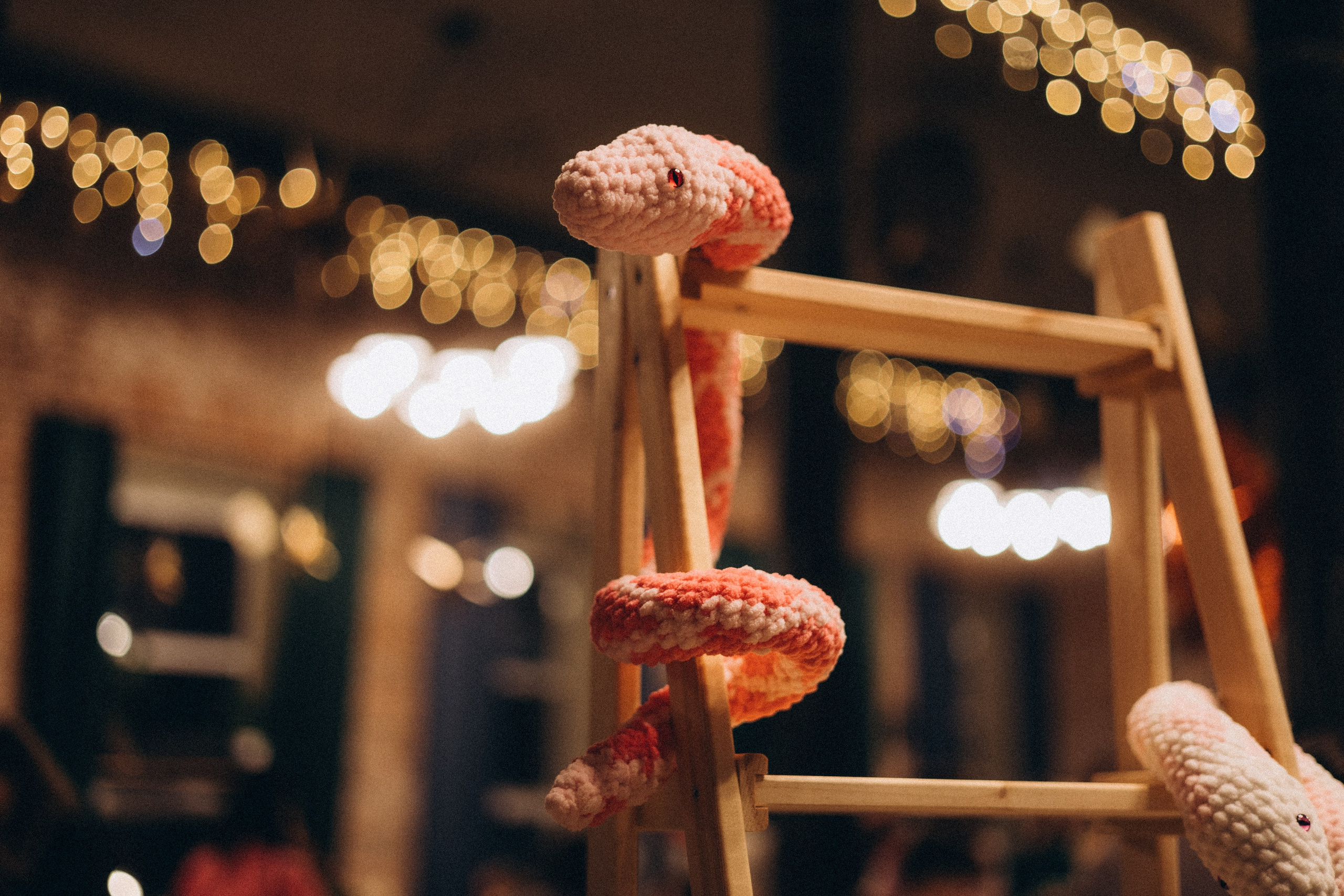 Рождественский Маркет. Семейный фотограф в Красноярске Екатерина Гайнутдинова