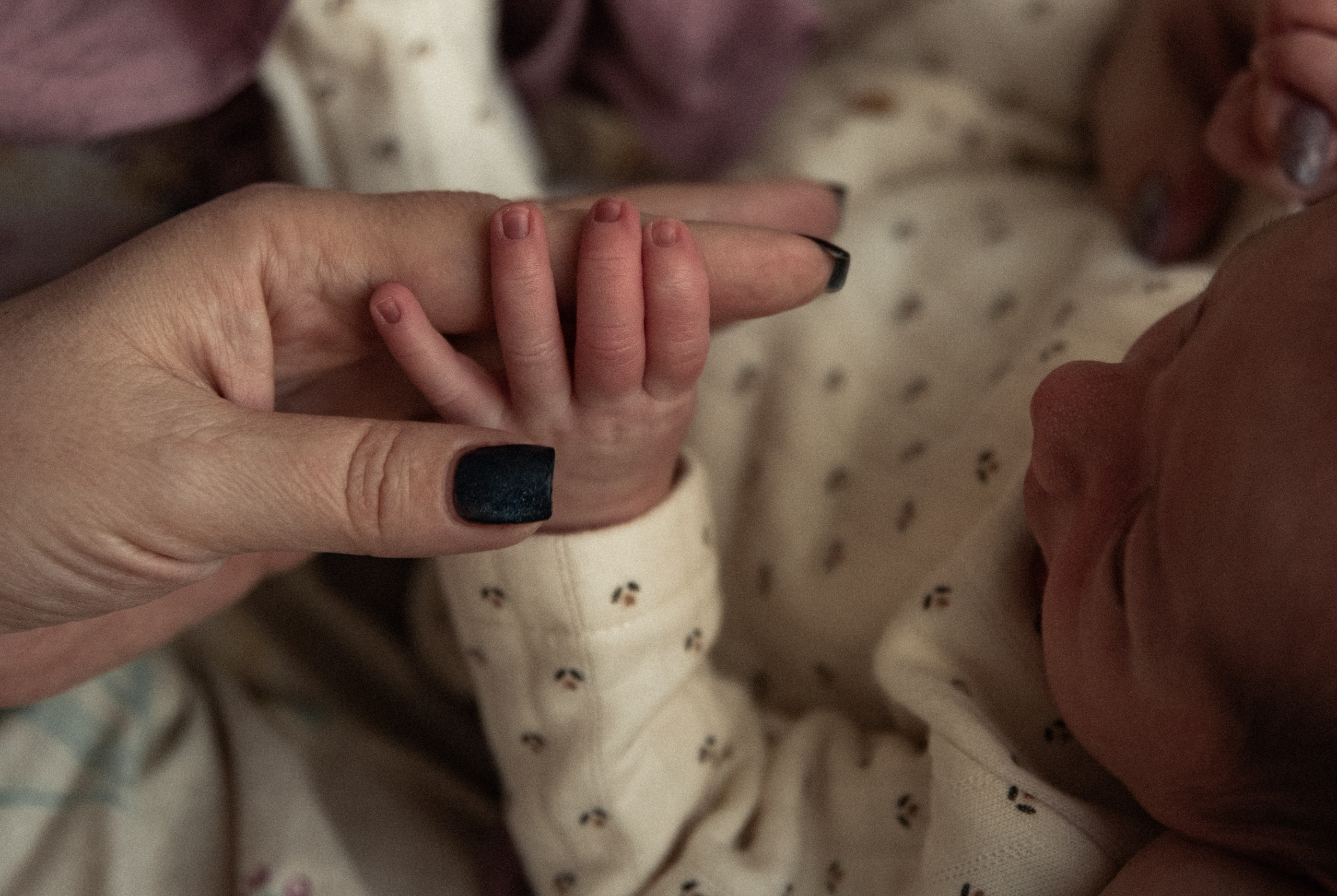 День встречи. Семейный и детский фотограф в Санкт-Петербурге Татьяна Дмитренко