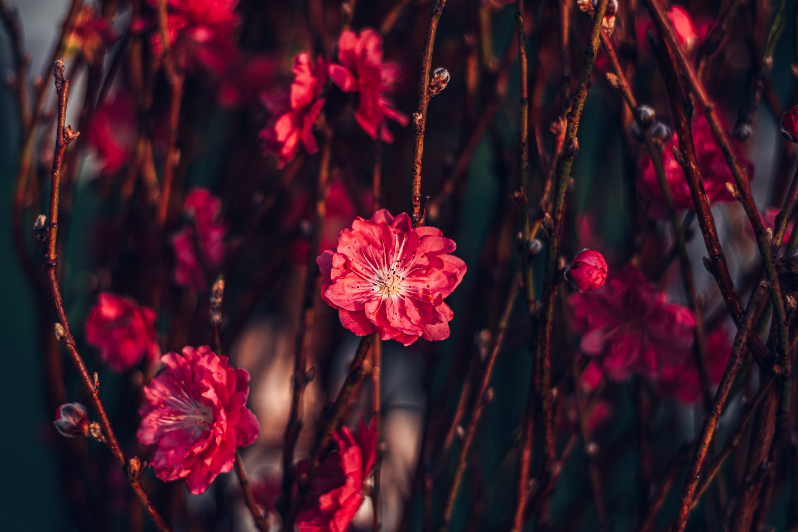 Путешествие рекламного фотографа из Гуанчжоу по Гонконгу 2 | Истории и вдохновение. Коммерческий и предметный фотограф в Гуанчжоу Коваленко Александр