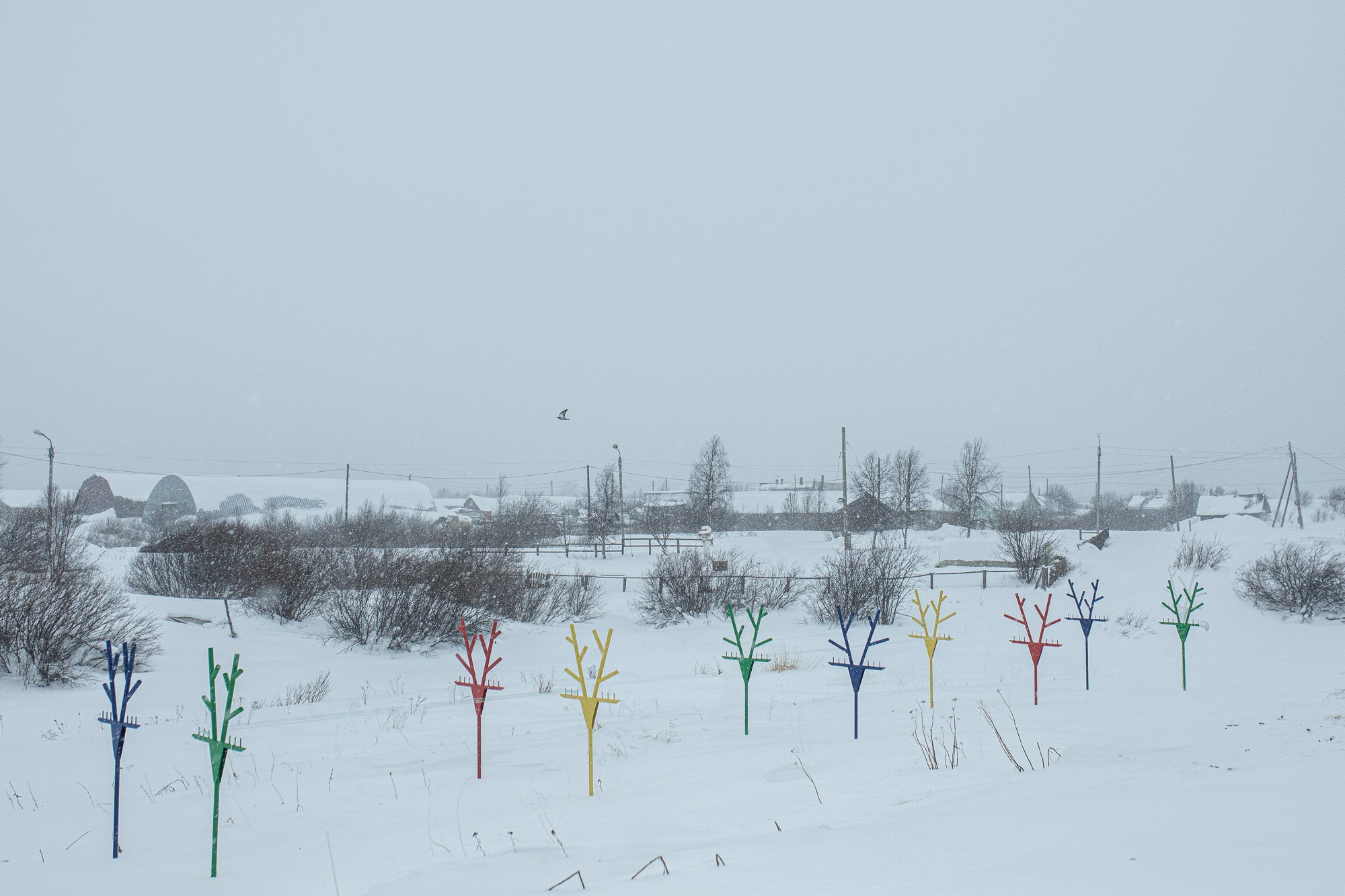 Кораль. На север к оленям. Репортажный фотограф в Сочи — Михаил Мордасов