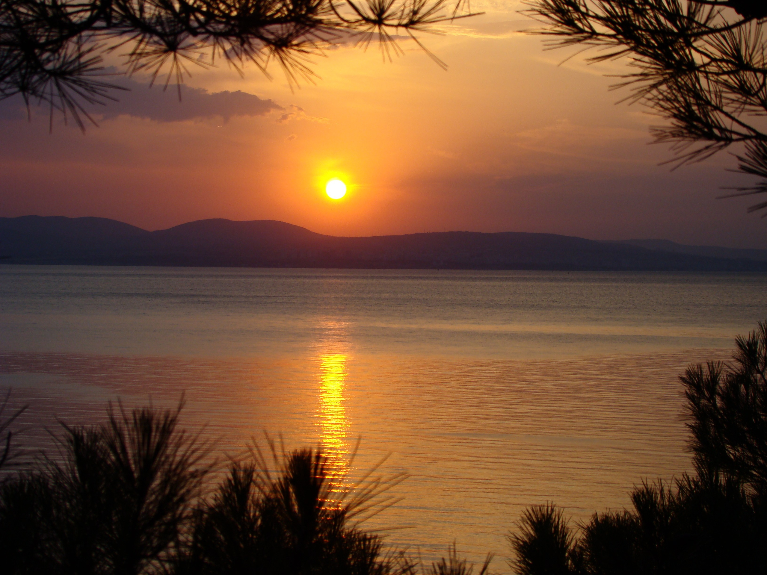 Кабардинка (фото Зевиных) 25.06-24.07.2008. Семейный, Свадебный фотограф СПБ Питер— Романова Екатерина