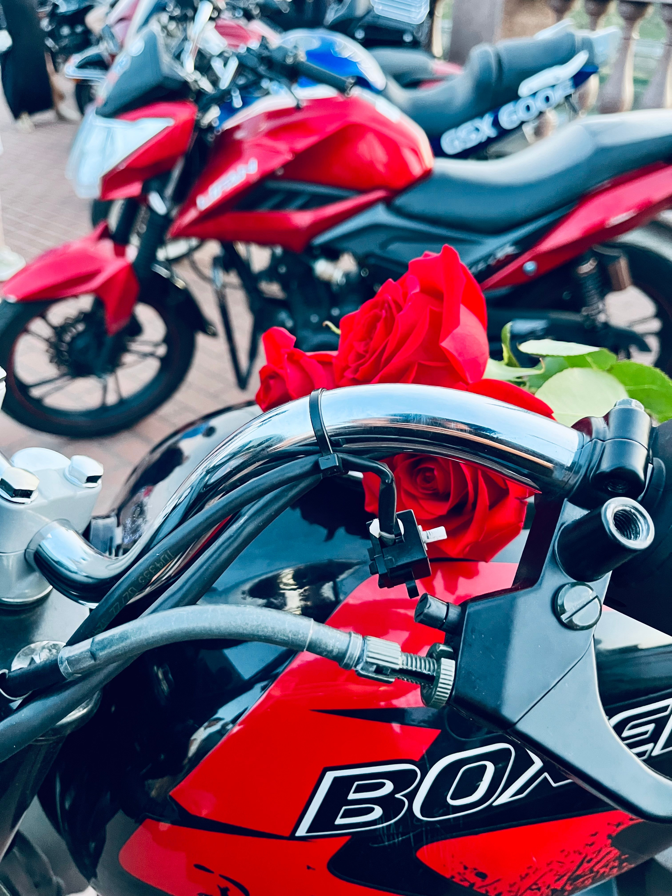 МЕРОПРИЯТИЯ 2025. МОТОШКОЛА в городе Витебске. Обучение категории А и А1