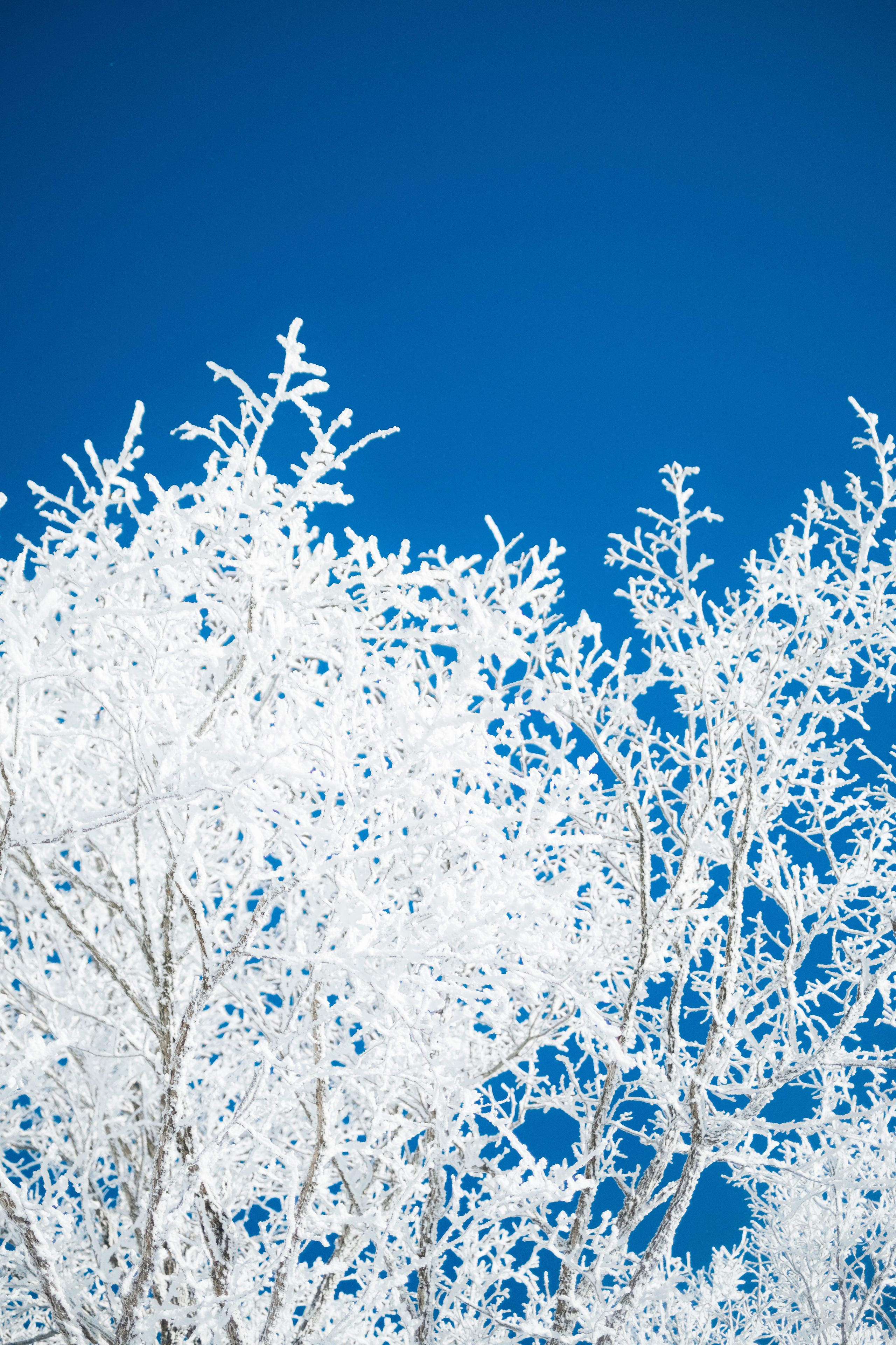 Курактачи. Фотограф Благовещенска Яна