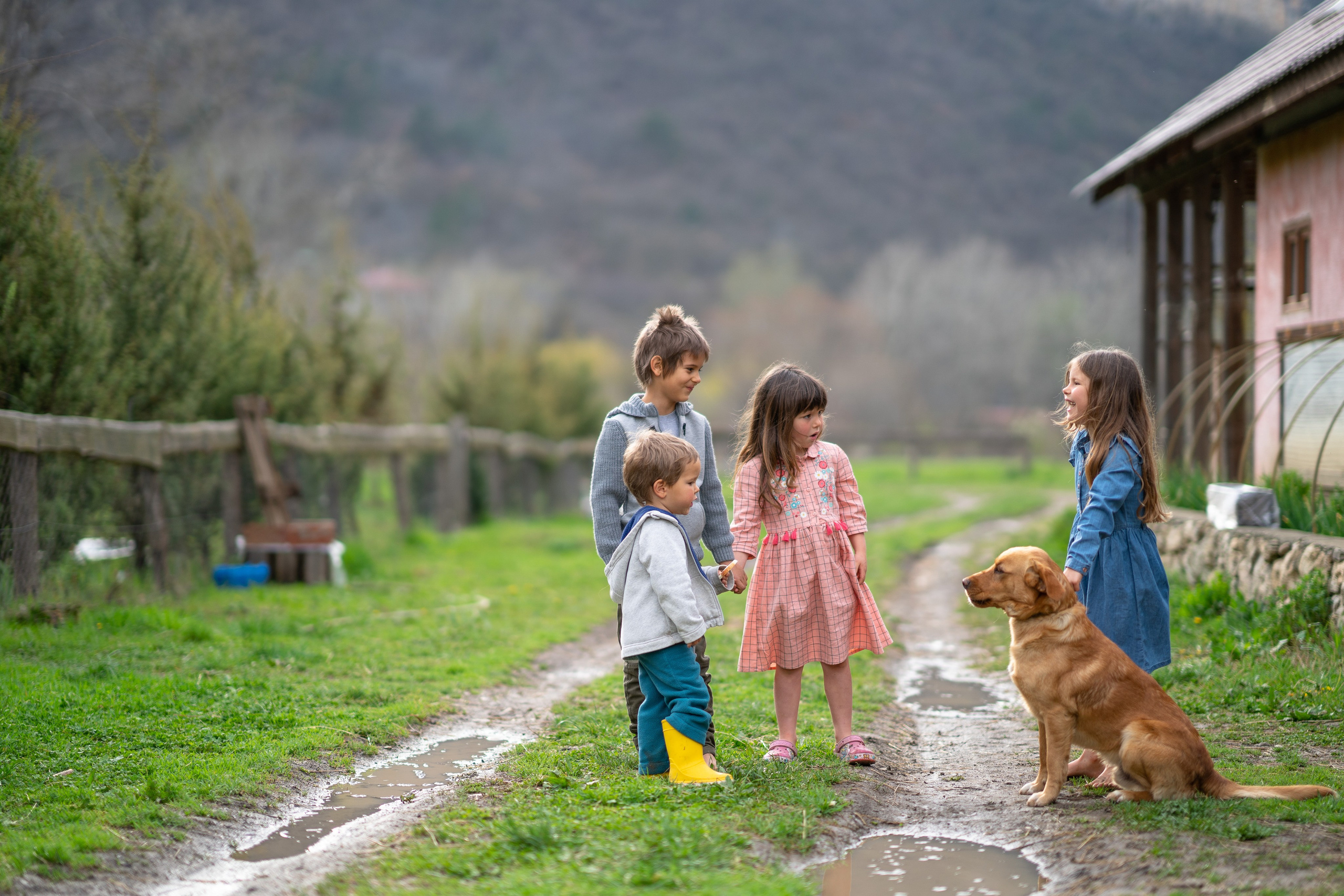 Портфолио. Карнеева Елена. Детский, семейный фотограф