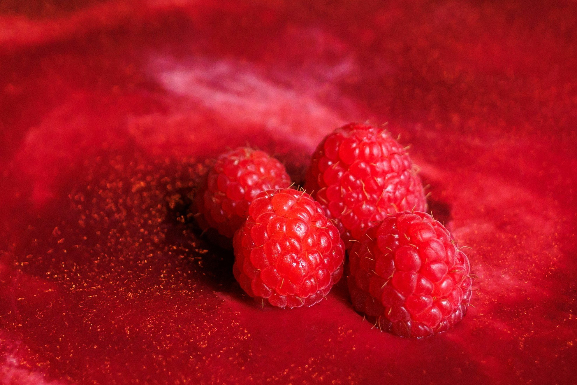 КОНДИТЕРСКОЕ. Свадебный и репортажный фотограф в Москве и Московской области