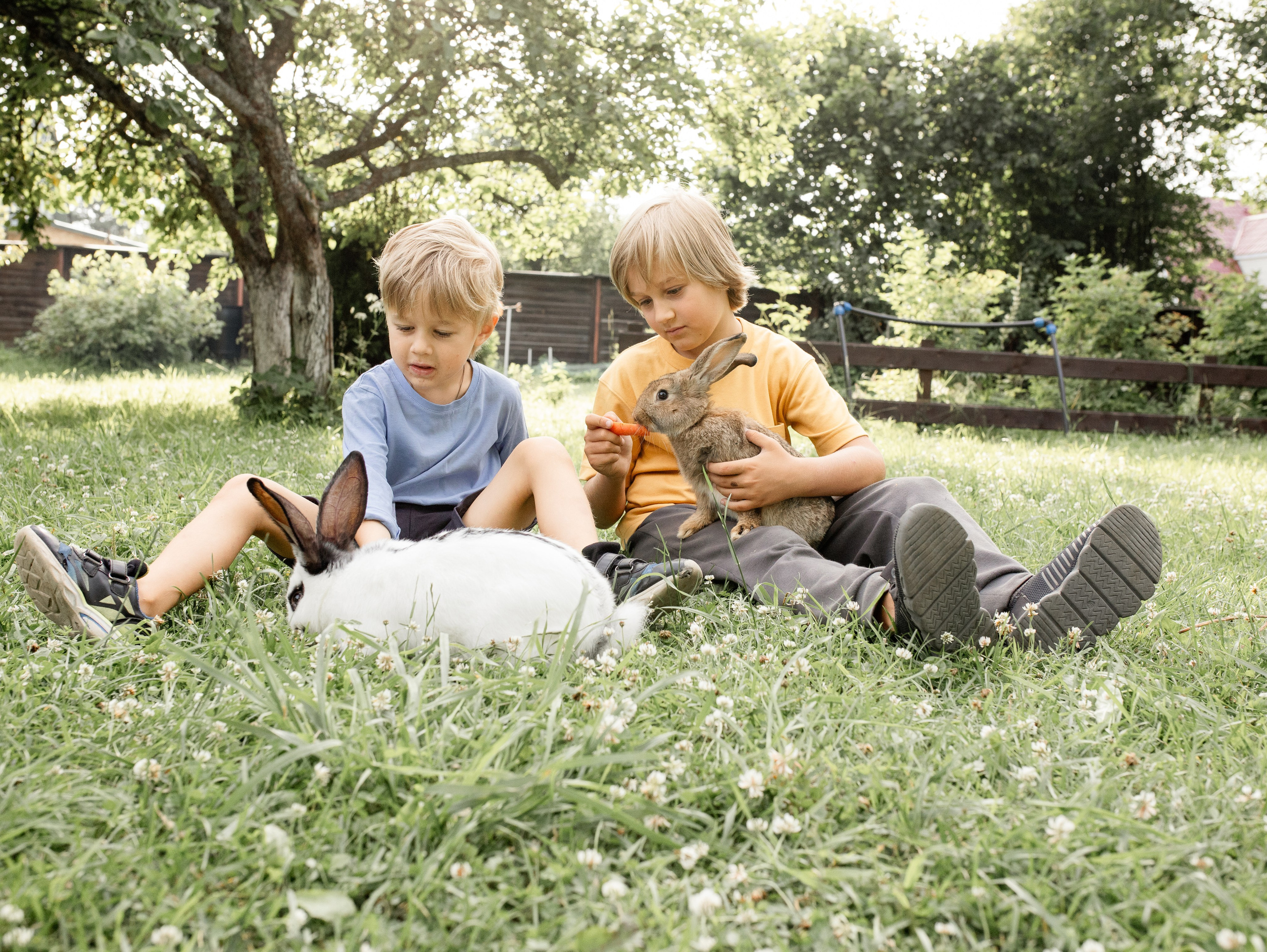 Кролики 2023. Семейный фотограф в Санкт-Петербурге Ирина Иванова